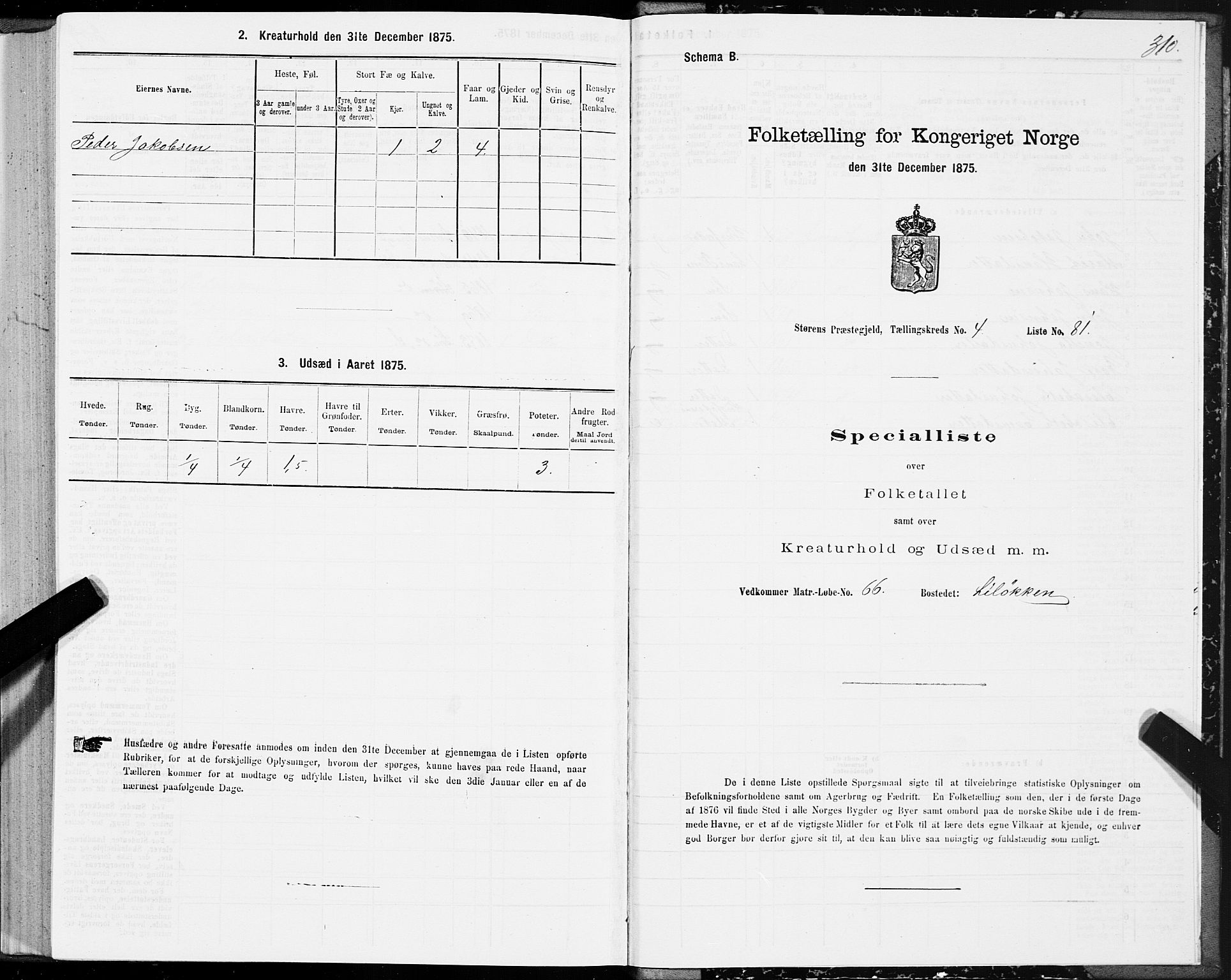 SAT, 1875 census for 1648P Støren, 1875, p. 2310