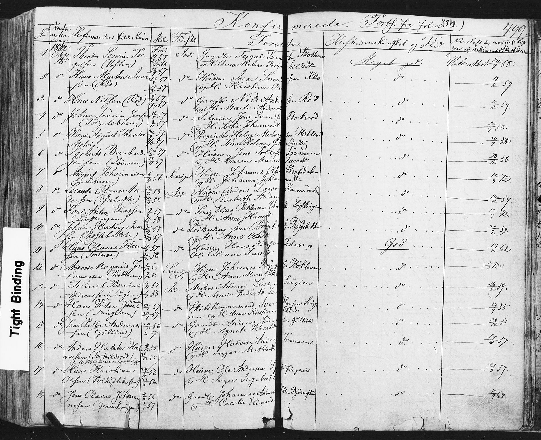 Idd prestekontor Kirkebøker, AV/SAO-A-10911/F/Fc/L0005: Parish register (official) no. III 5, 1861-1877, p. 499