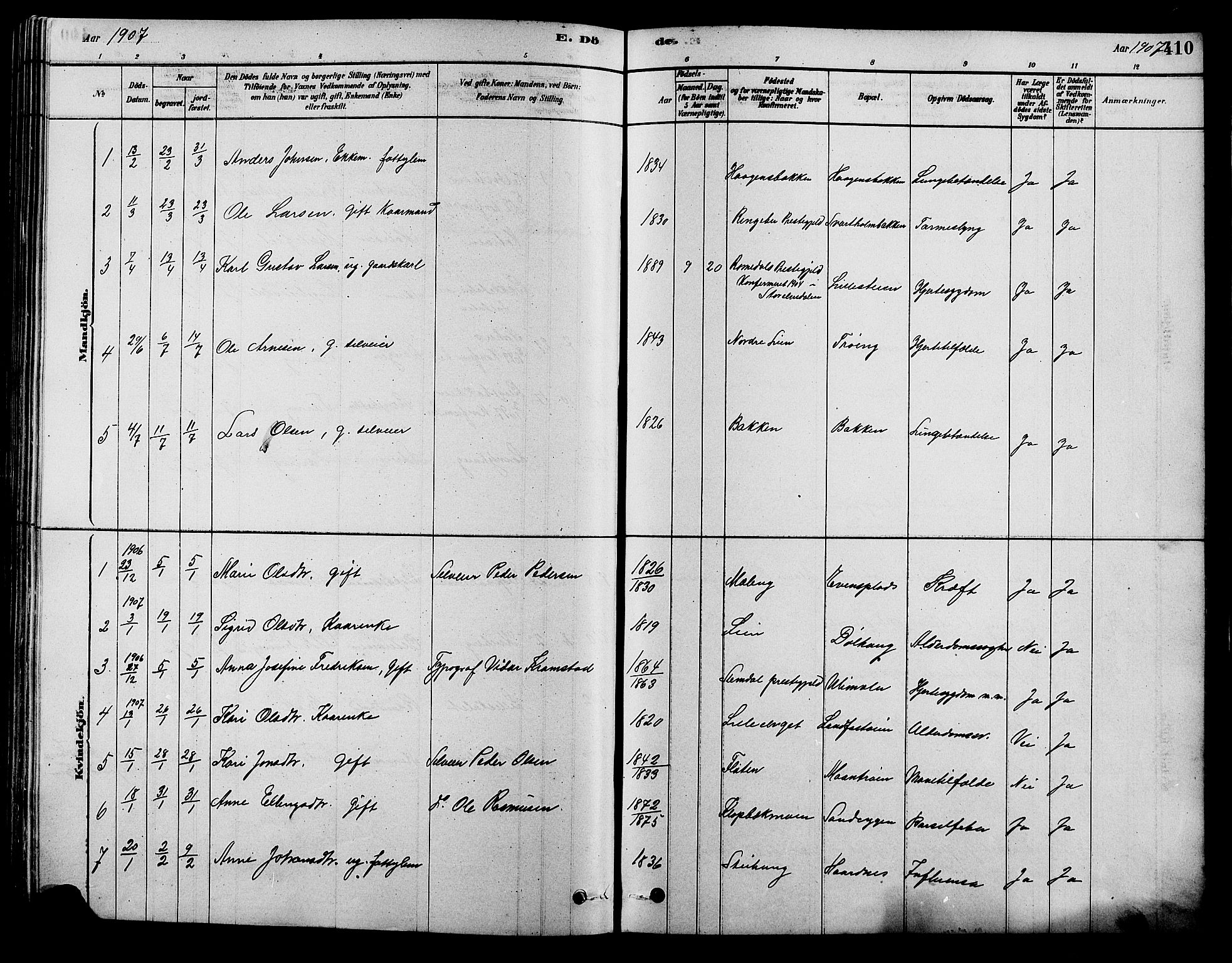 Alvdal prestekontor, SAH/PREST-060/H/Ha/Hab/L0003: Parish register (copy) no. 3, 1878-1907, p. 410