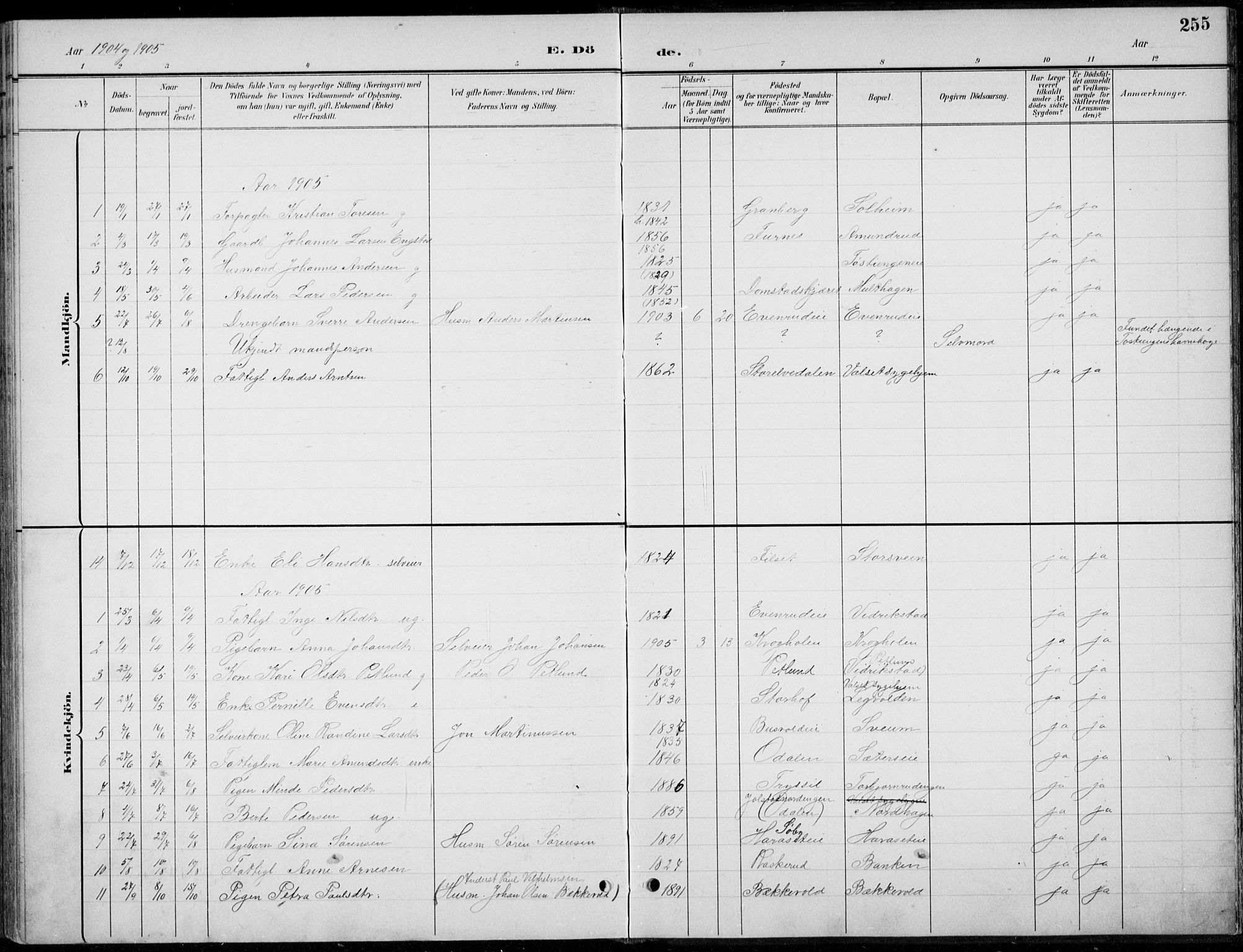 Romedal prestekontor, AV/SAH-PREST-004/L/L0013: Parish register (copy) no. 13, 1896-1937, p. 255