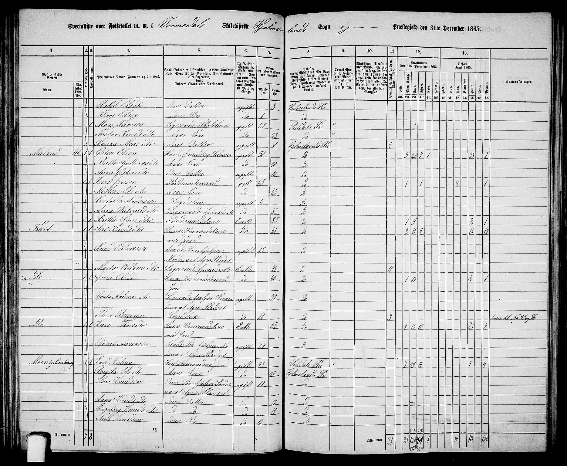 RA, 1865 census for Hjelmeland, 1865, p. 65