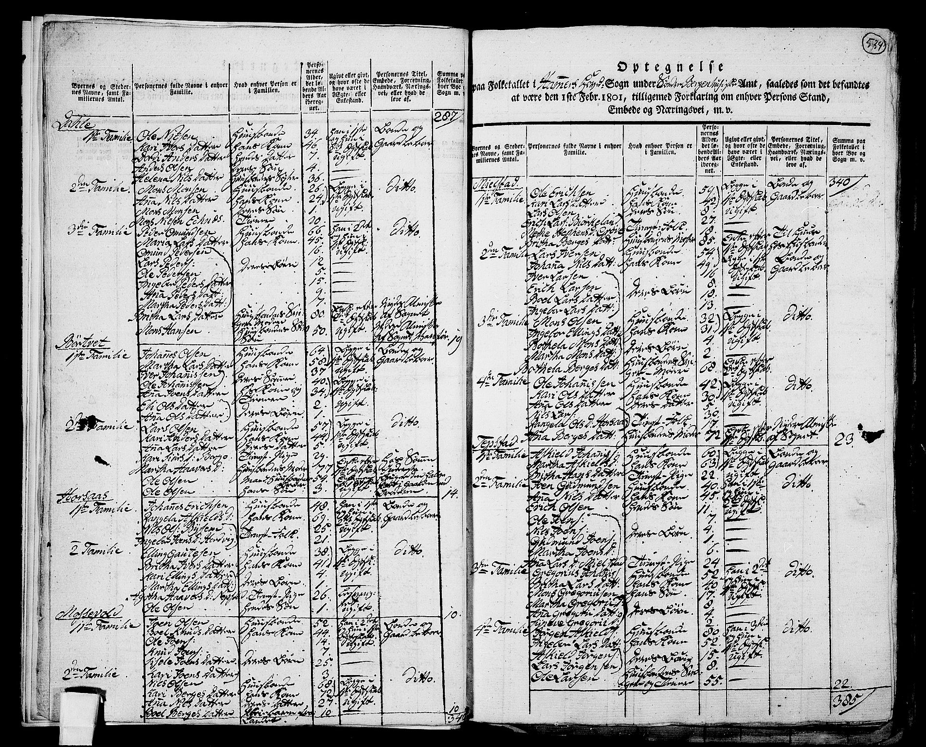 RA, 1801 census for 1254P Hamre, 1801, p. 533b-534a