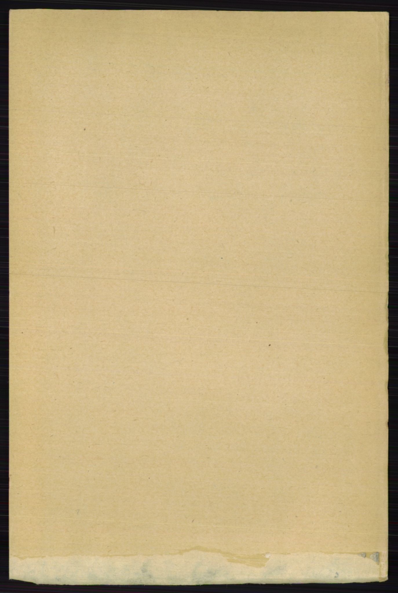 RA, 1891 census for 0236 Nes, 1891, p. 9547