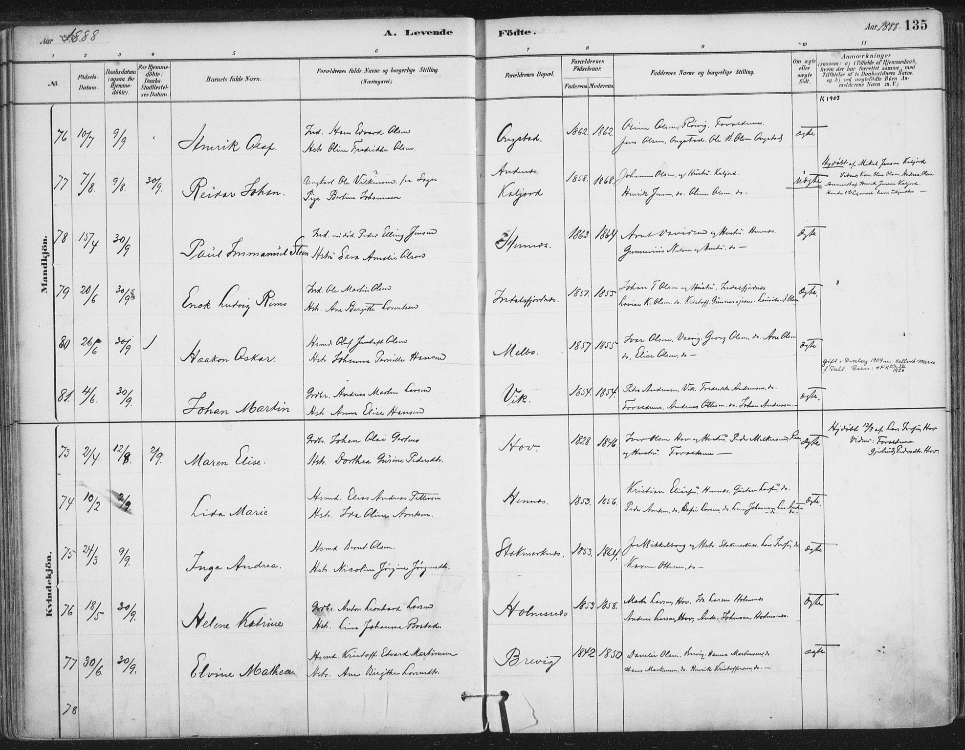 Ministerialprotokoller, klokkerbøker og fødselsregistre - Nordland, AV/SAT-A-1459/888/L1244: Parish register (official) no. 888A10, 1880-1890, p. 135