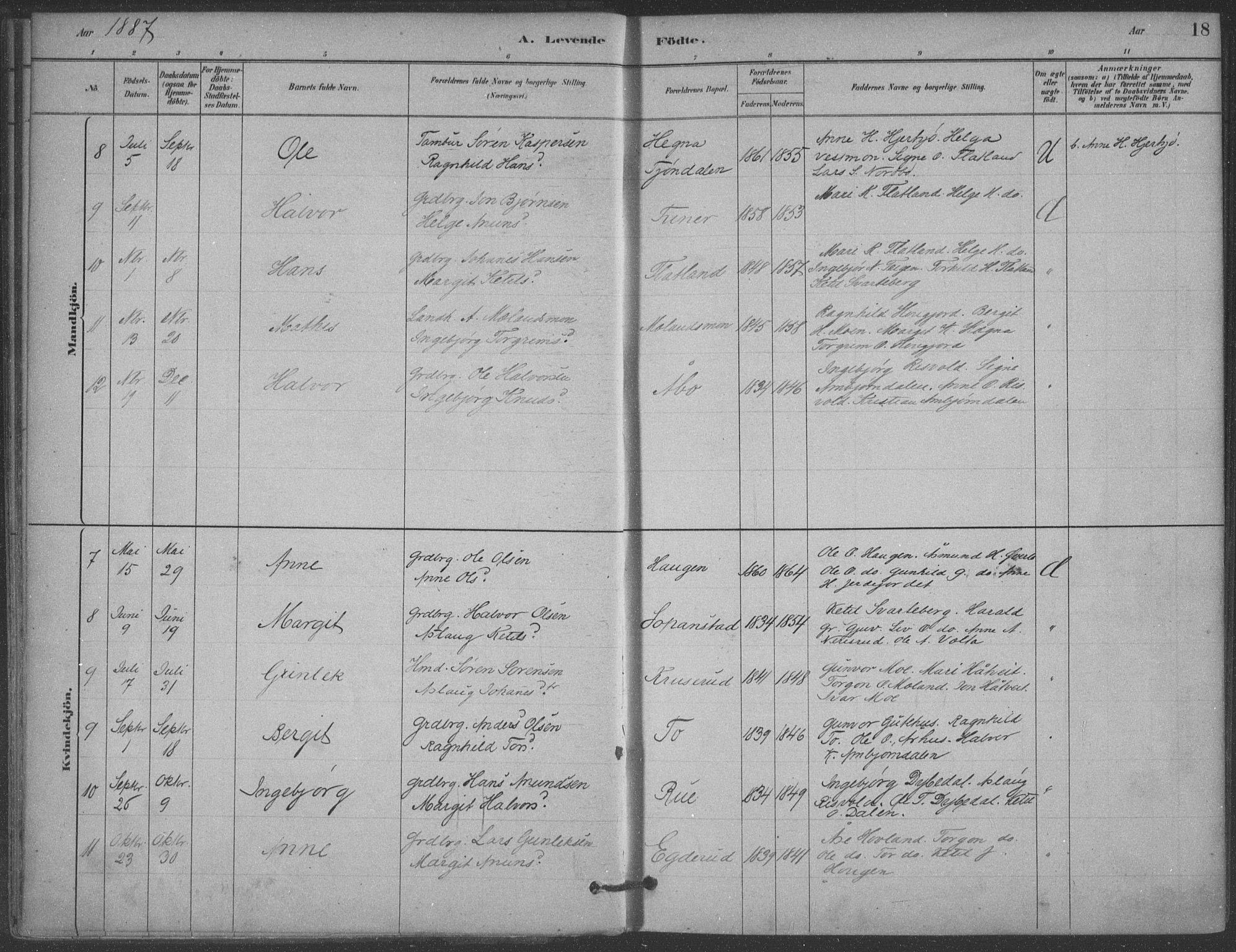 Hjartdal kirkebøker, AV/SAKO-A-270/F/Fa/L0010: Parish register (official) no. I 10, 1880-1929, p. 18