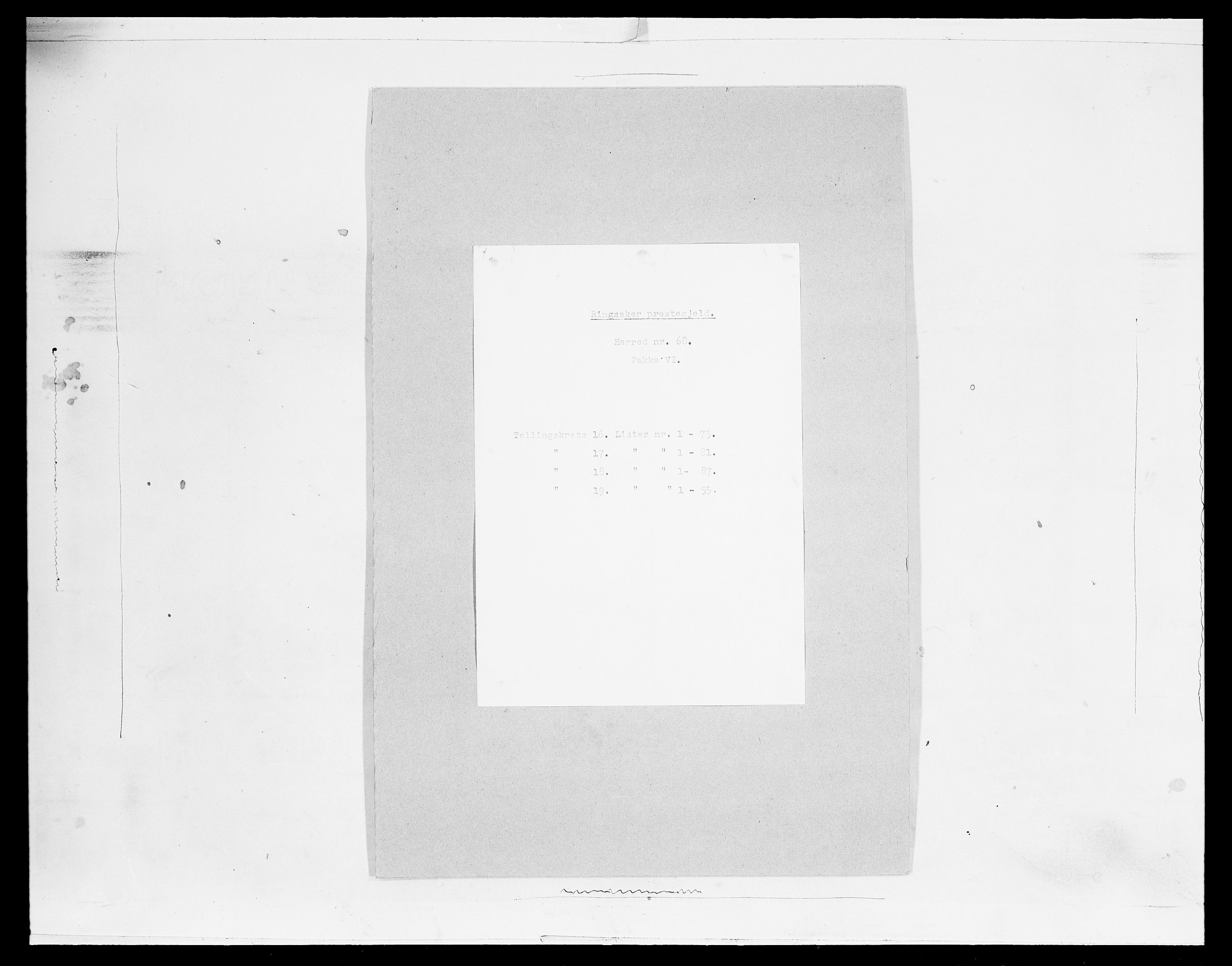 SAH, 1875 census for 0412P Ringsaker, 1875, p. 3238