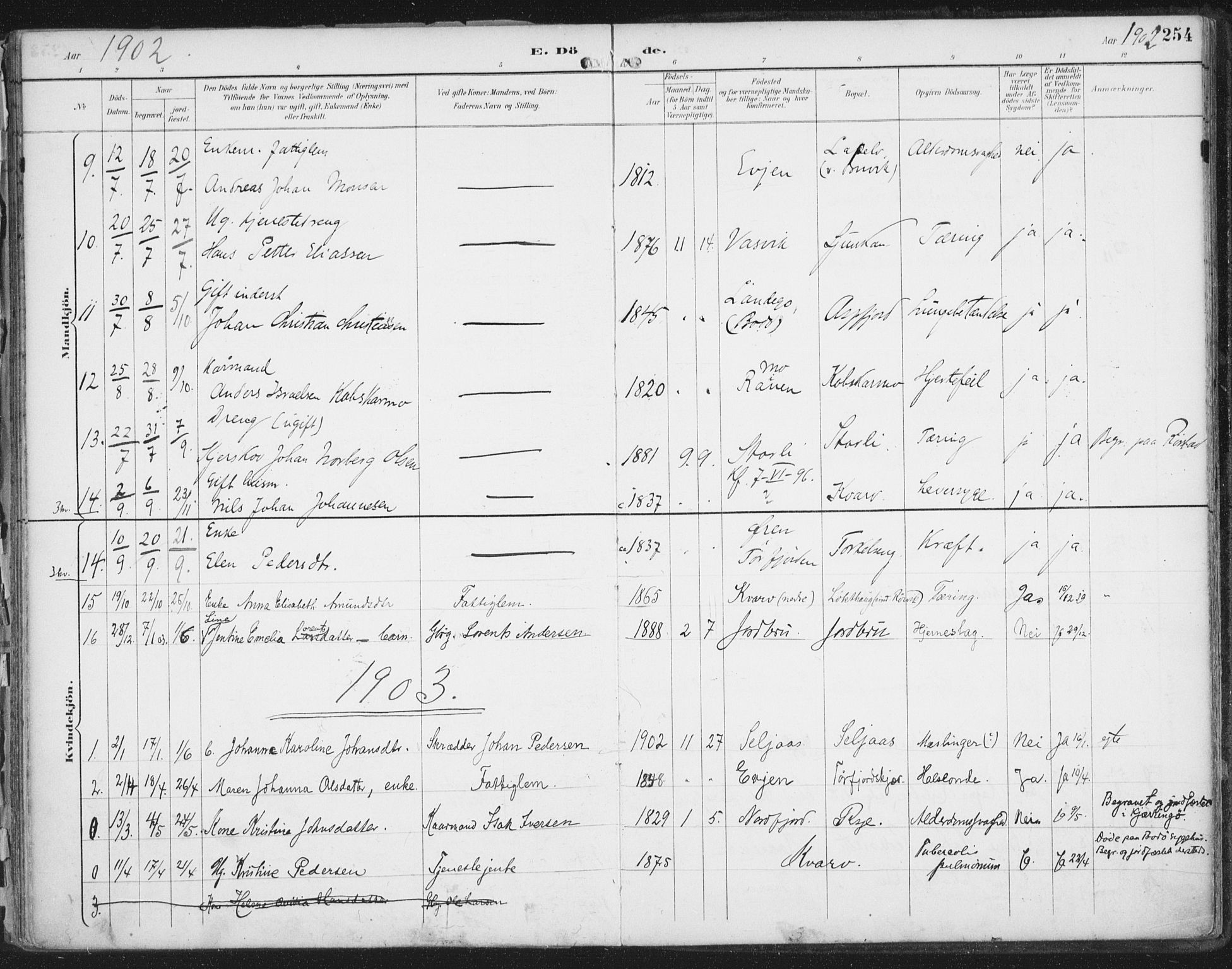 Ministerialprotokoller, klokkerbøker og fødselsregistre - Nordland, SAT/A-1459/854/L0779: Parish register (official) no. 854A02, 1892-1909, p. 254