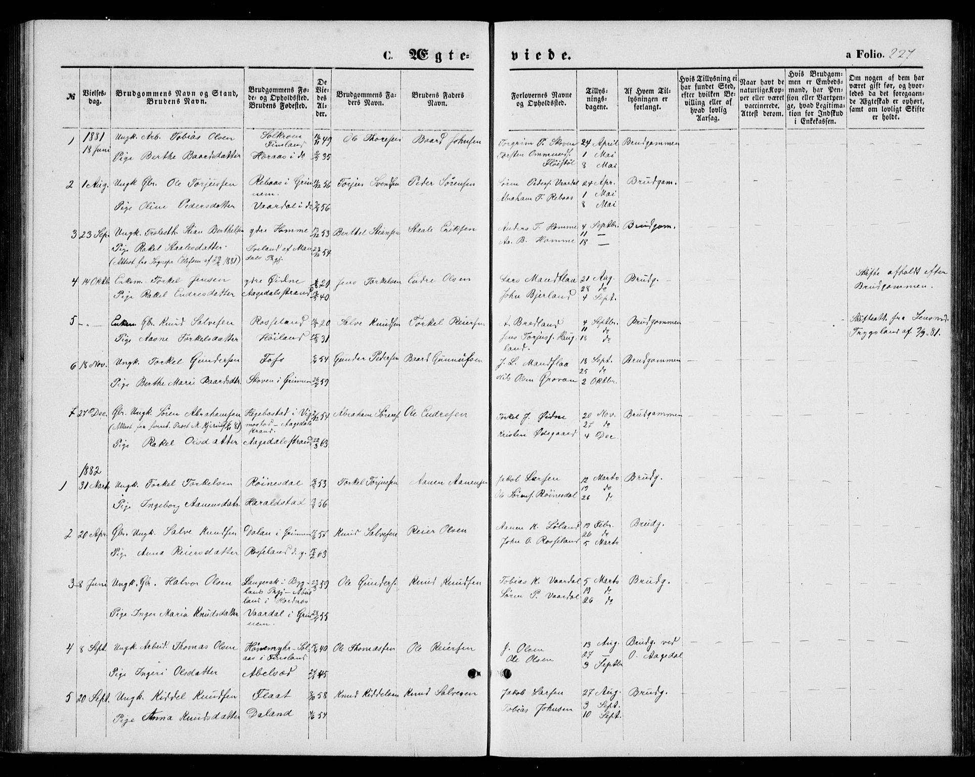 Bjelland sokneprestkontor, SAK/1111-0005/F/Fb/Fba/L0004: Parish register (copy) no. B 4, 1869-1886, p. 227