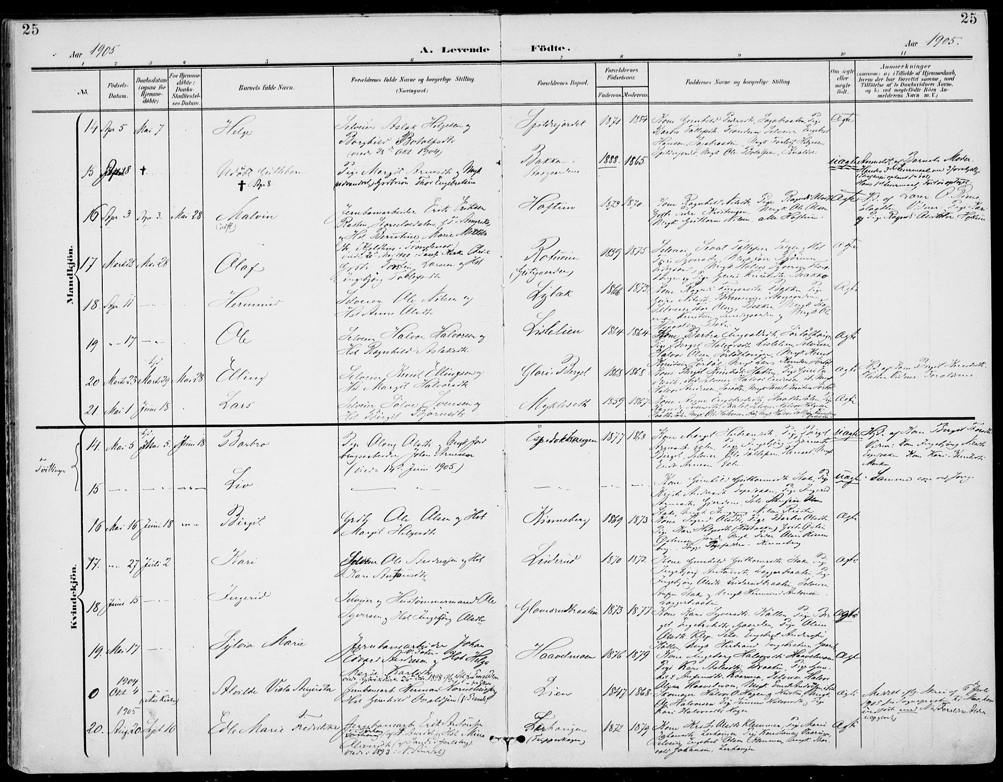 Gol kirkebøker, AV/SAKO-A-226/F/Fa/L0006: Parish register (official) no. I 6, 1901-1918, p. 25