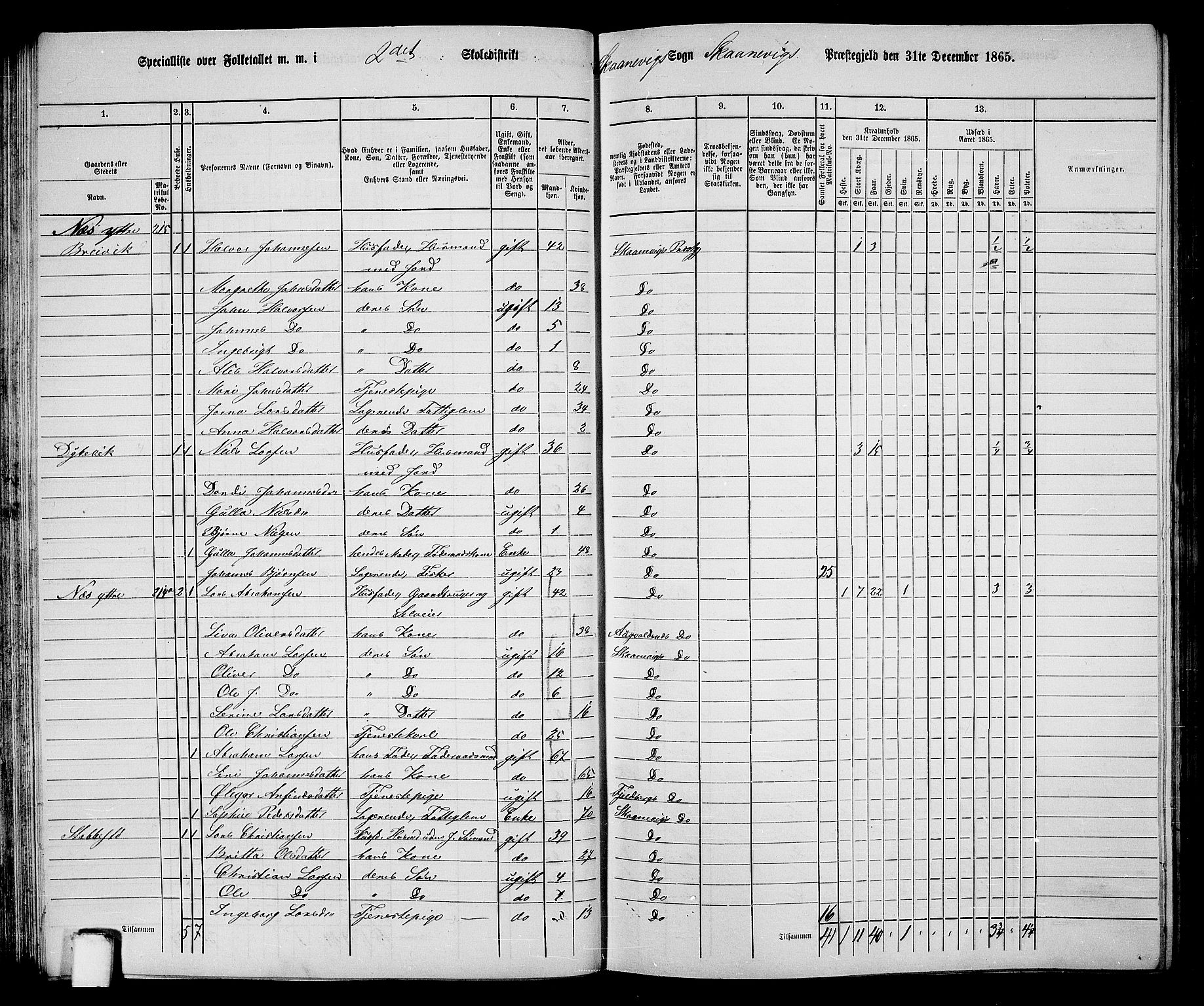 RA, 1865 census for Skånevik, 1865, p. 46