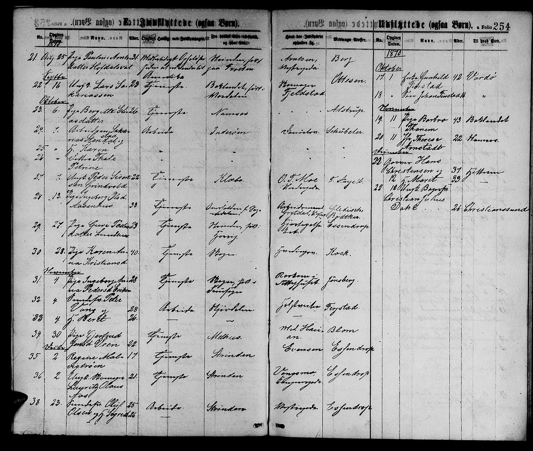 Ministerialprotokoller, klokkerbøker og fødselsregistre - Sør-Trøndelag, SAT/A-1456/601/L0088: Parish register (copy) no. 601C06, 1870-1878, p. 254