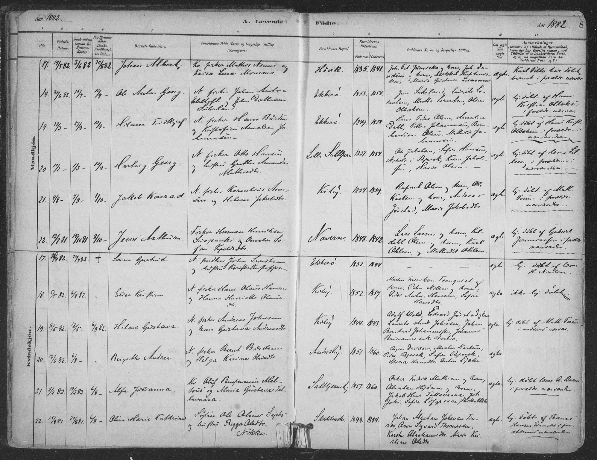 Vadsø sokneprestkontor, SATØ/S-1325/H/Ha/L0009kirke: Parish register (official) no. 9, 1881-1917, p. 8