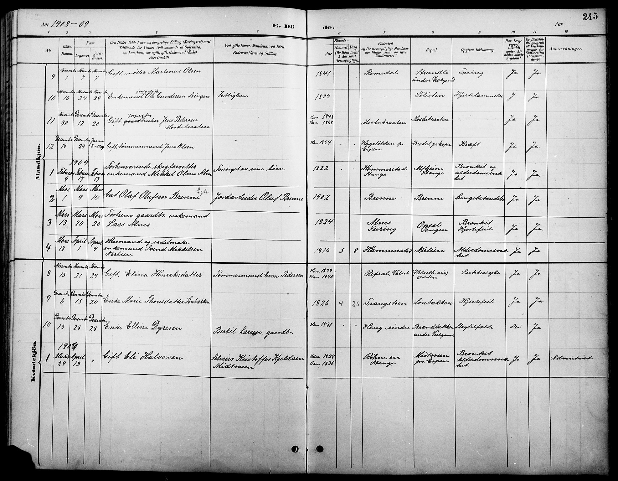 Stange prestekontor, SAH/PREST-002/L/L0011: Parish register (copy) no. 11, 1895-1917, p. 245