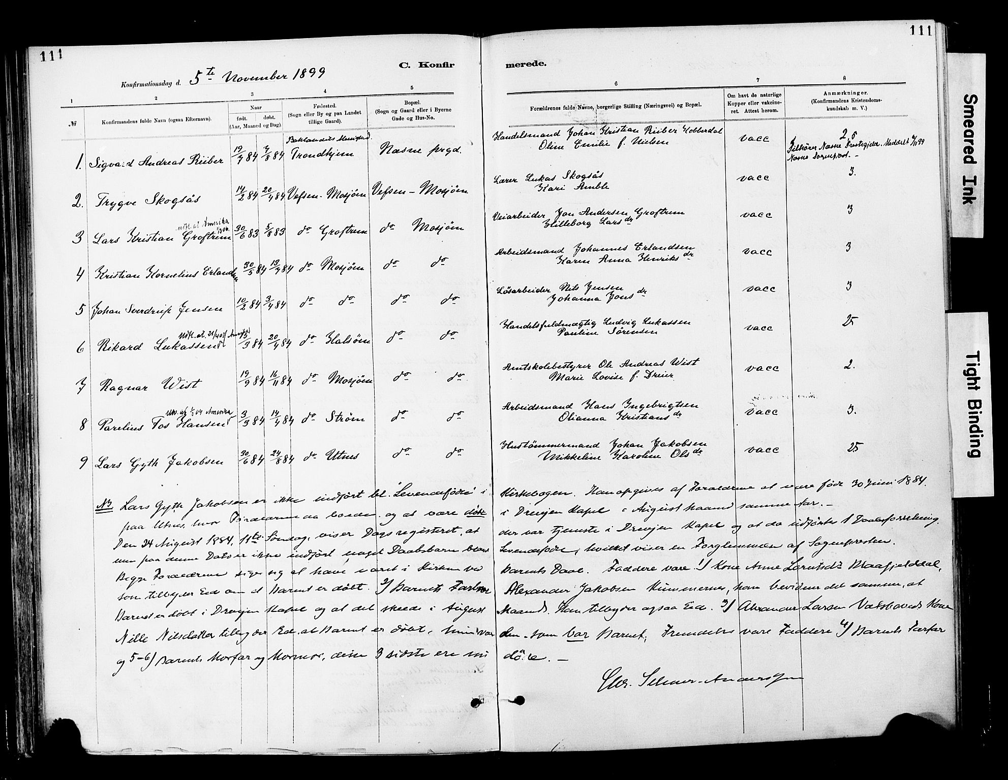 Ministerialprotokoller, klokkerbøker og fødselsregistre - Nordland, AV/SAT-A-1459/820/L0296: Parish register (official) no. 820A17, 1880-1903, p. 111