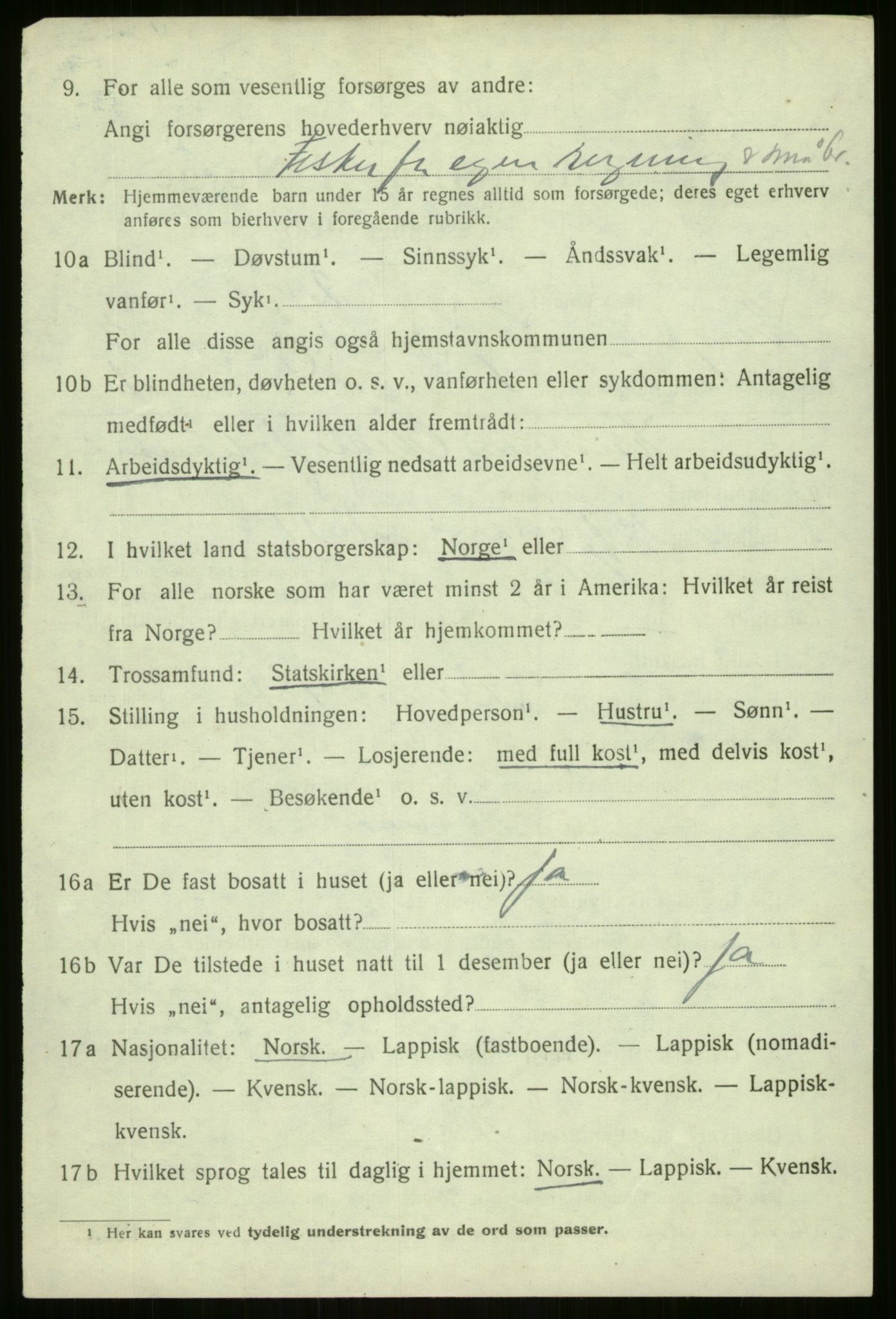 SATØ, 1920 census for Berg, 1920, p. 1233