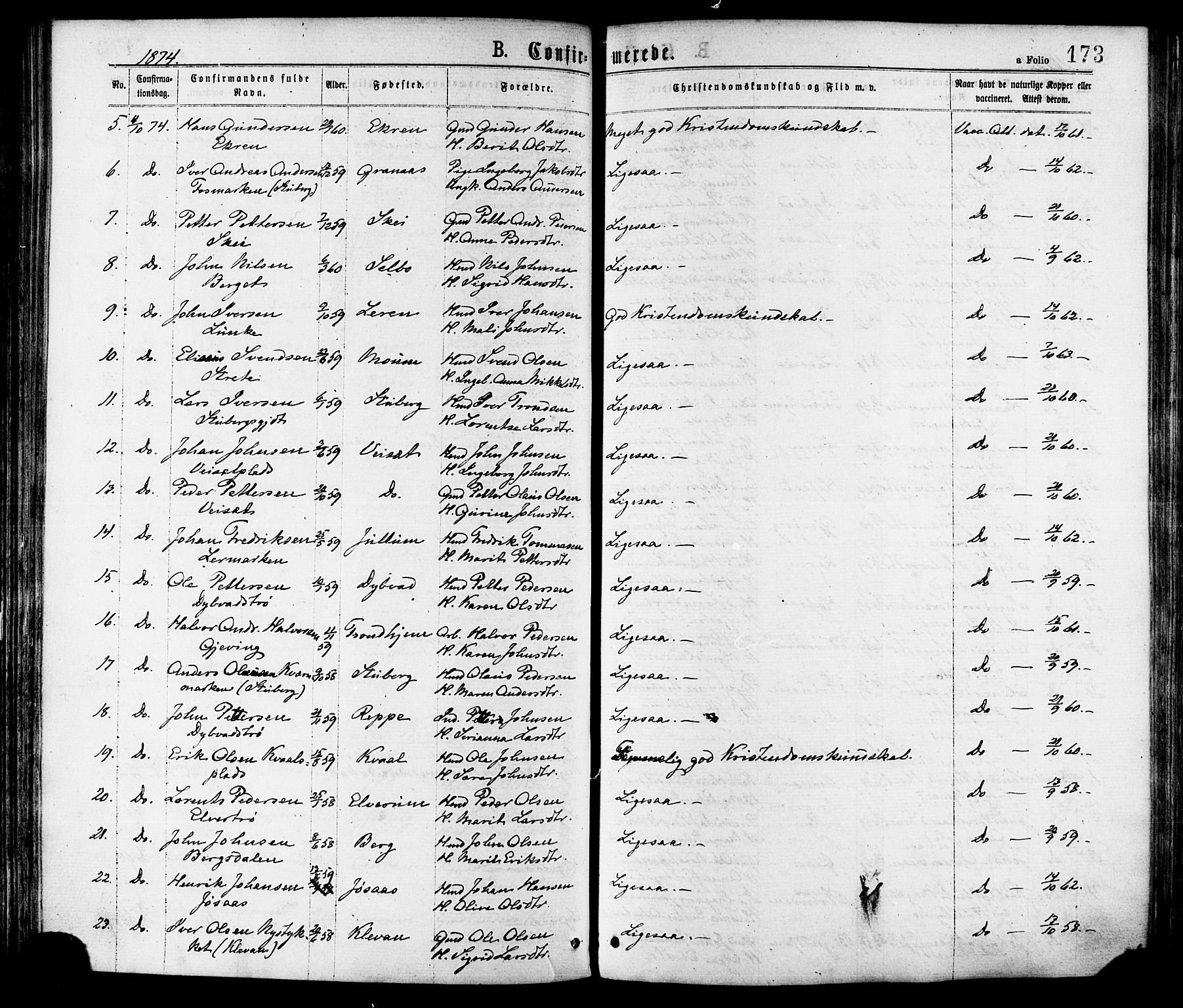 Ministerialprotokoller, klokkerbøker og fødselsregistre - Nord-Trøndelag, SAT/A-1458/709/L0076: Parish register (official) no. 709A16, 1871-1879, p. 173