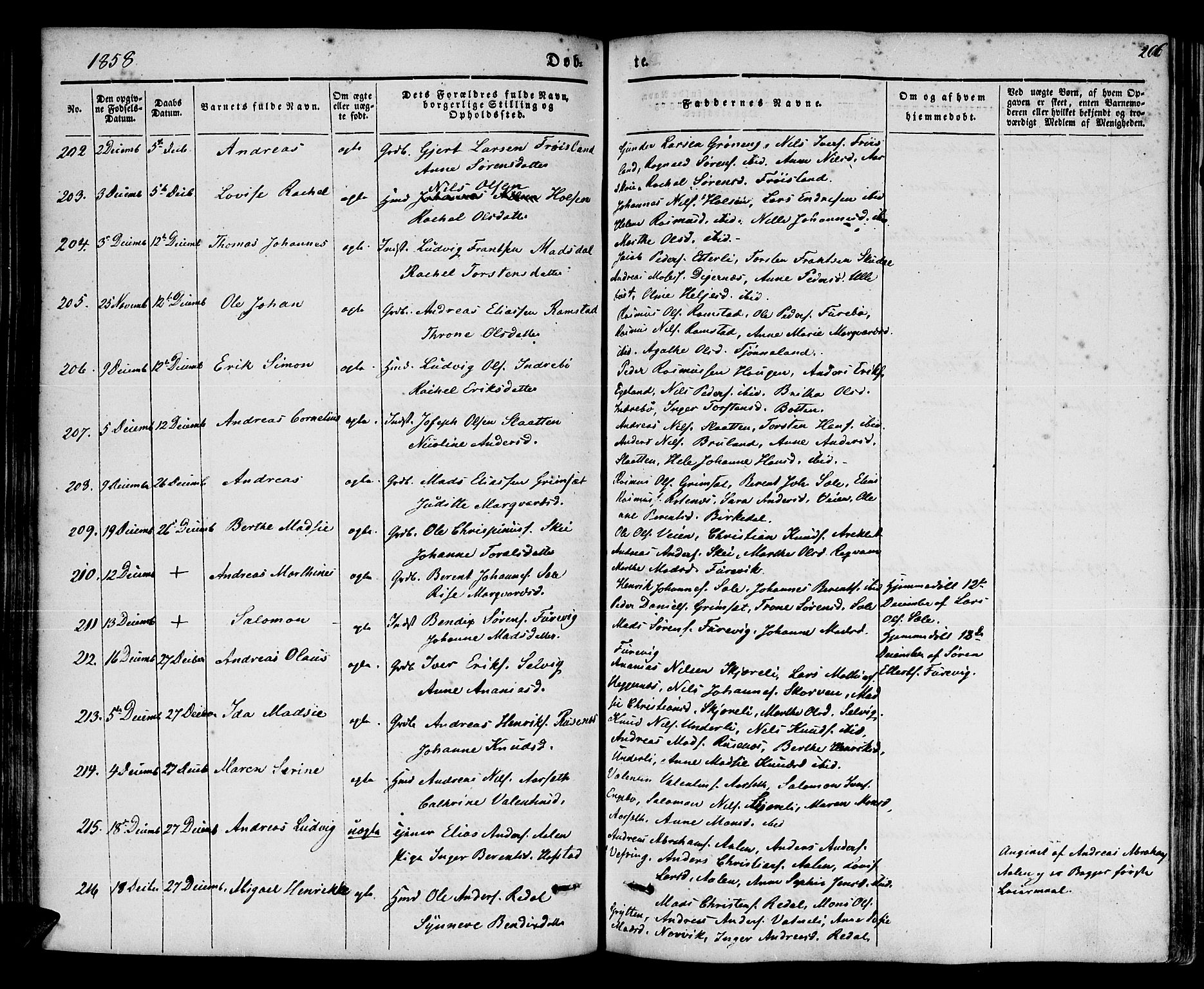 Førde sokneprestembete, SAB/A-79901/H/Haa/Haaa/L0007: Parish register (official) no. A 7, 1843-1860, p. 206