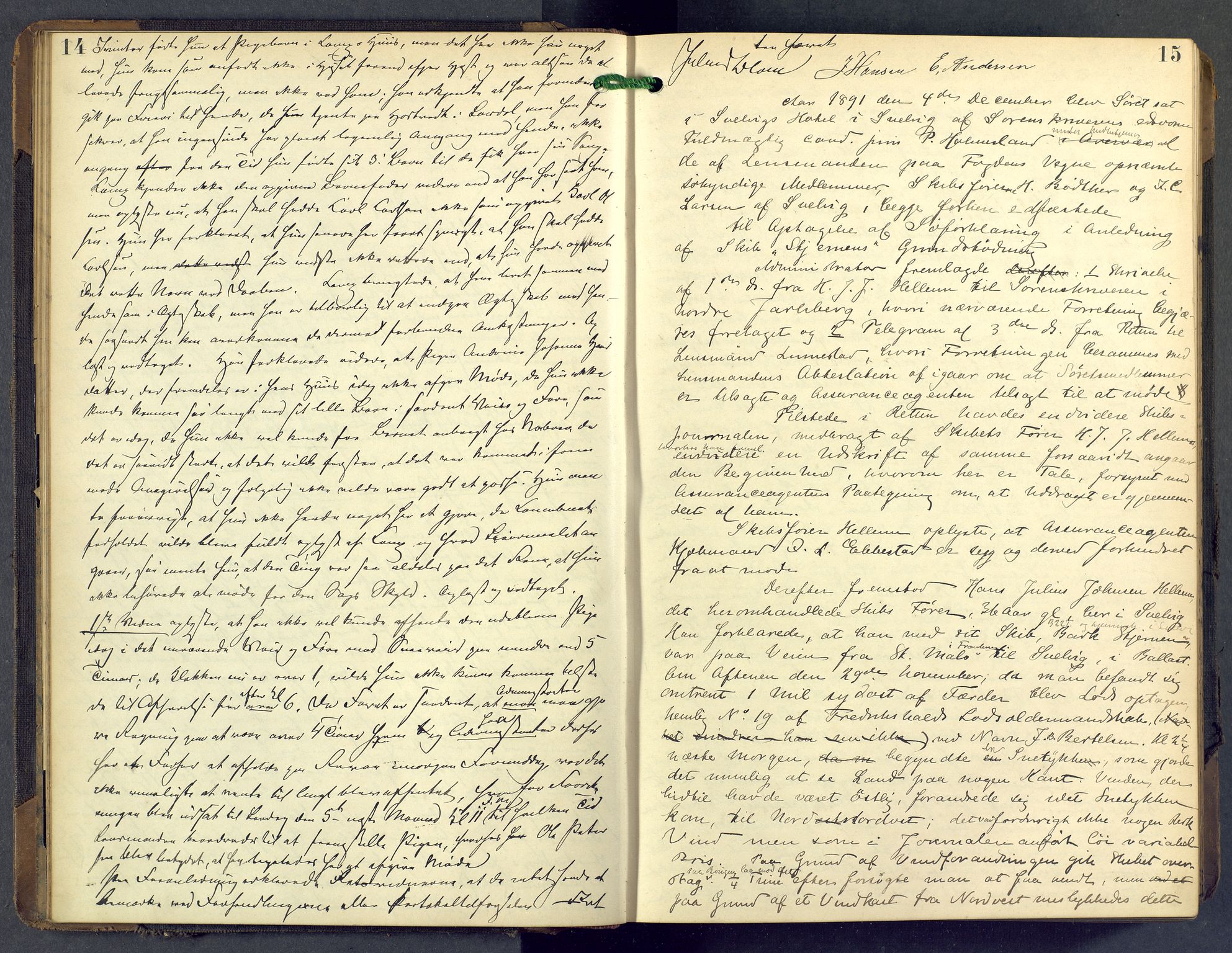 Nordre Jarlsberg sorenskriveri, AV/SAKO-A-80/F/Fb/Fba/L0028: Ekstrarettsprotokoll, 1891-1897, p. 14-15