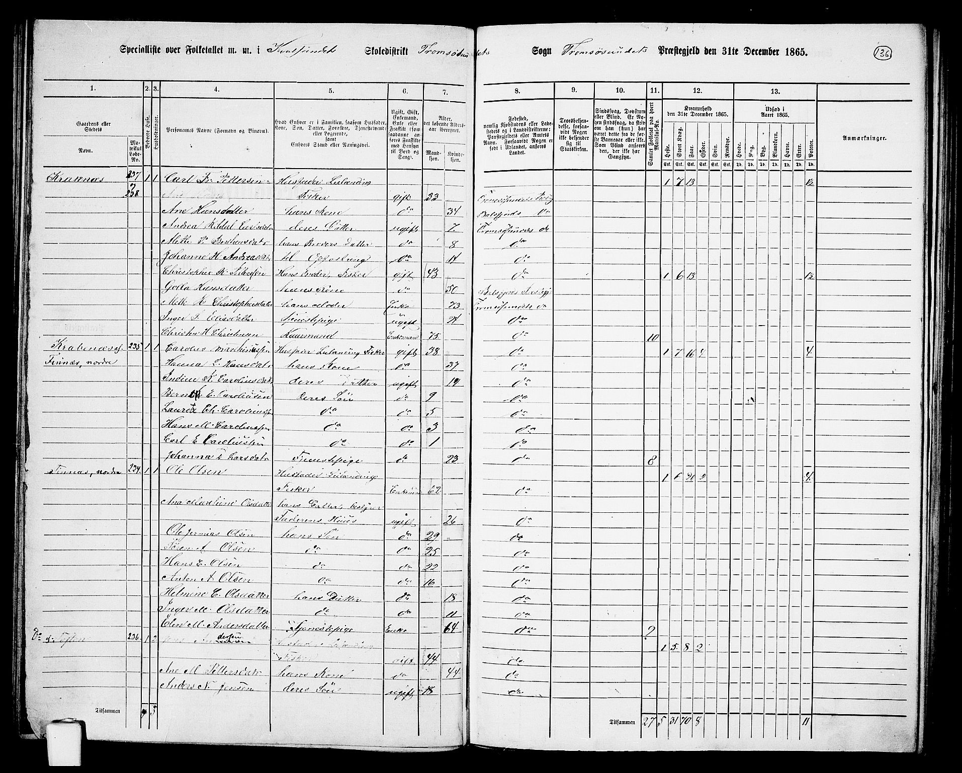 RA, 1865 census for Tromsøysund, 1865, p. 114