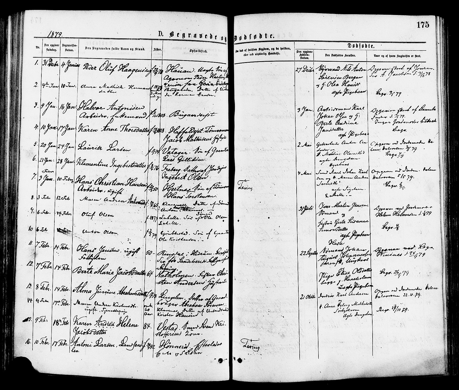 Sandar kirkebøker, SAKO/A-243/F/Fa/L0011: Parish register (official) no. 11, 1872-1882, p. 175
