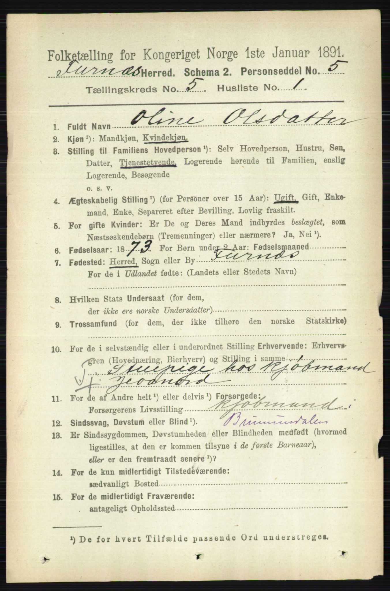 RA, Census 1891 for 0413 Furnes herred, 1891, p. 3159