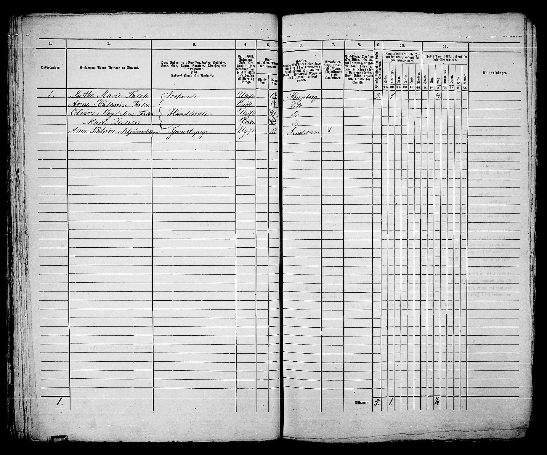 RA, 1865 census for Kongsberg/Kongsberg, 1865, p. 561