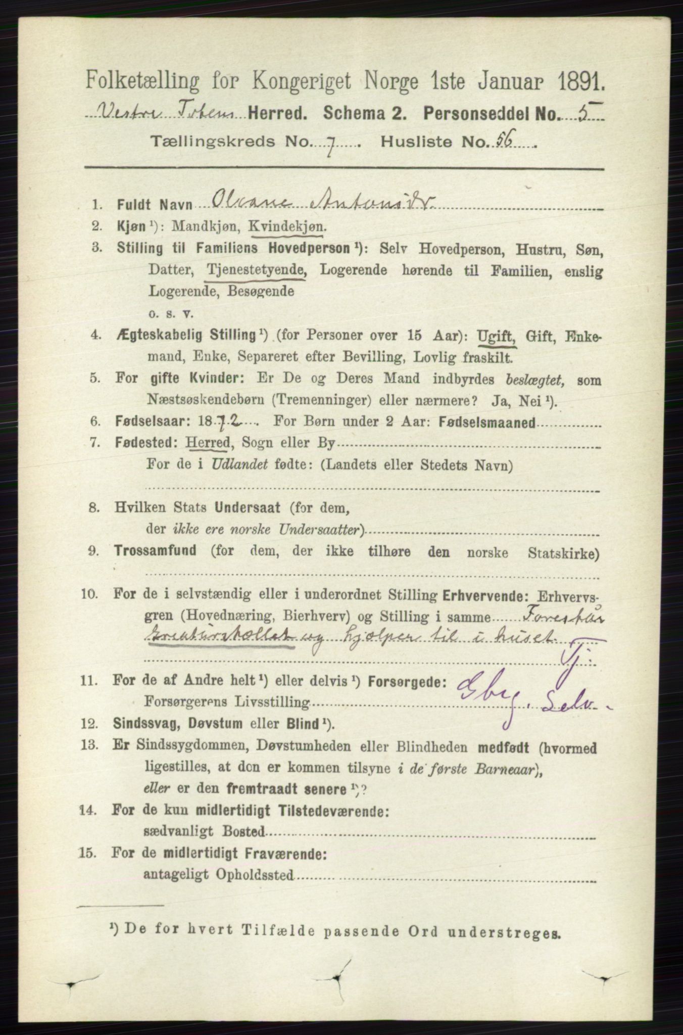 RA, 1891 census for 0529 Vestre Toten, 1891, p. 4675