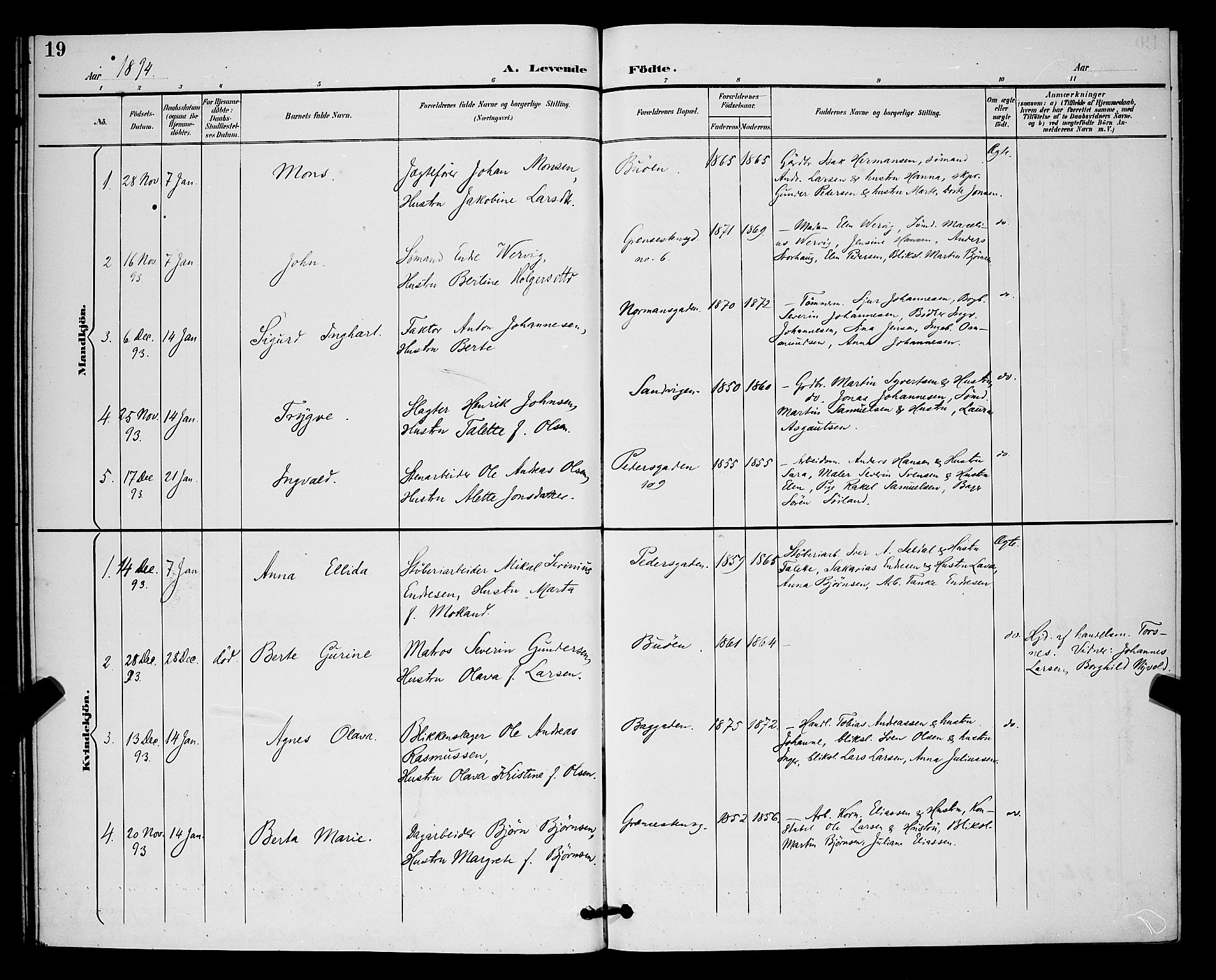 St. Johannes sokneprestkontor, AV/SAST-A-101814/001/30/30BB/L0003: Parish register (copy) no. B 3, 1893-1900, p. 19