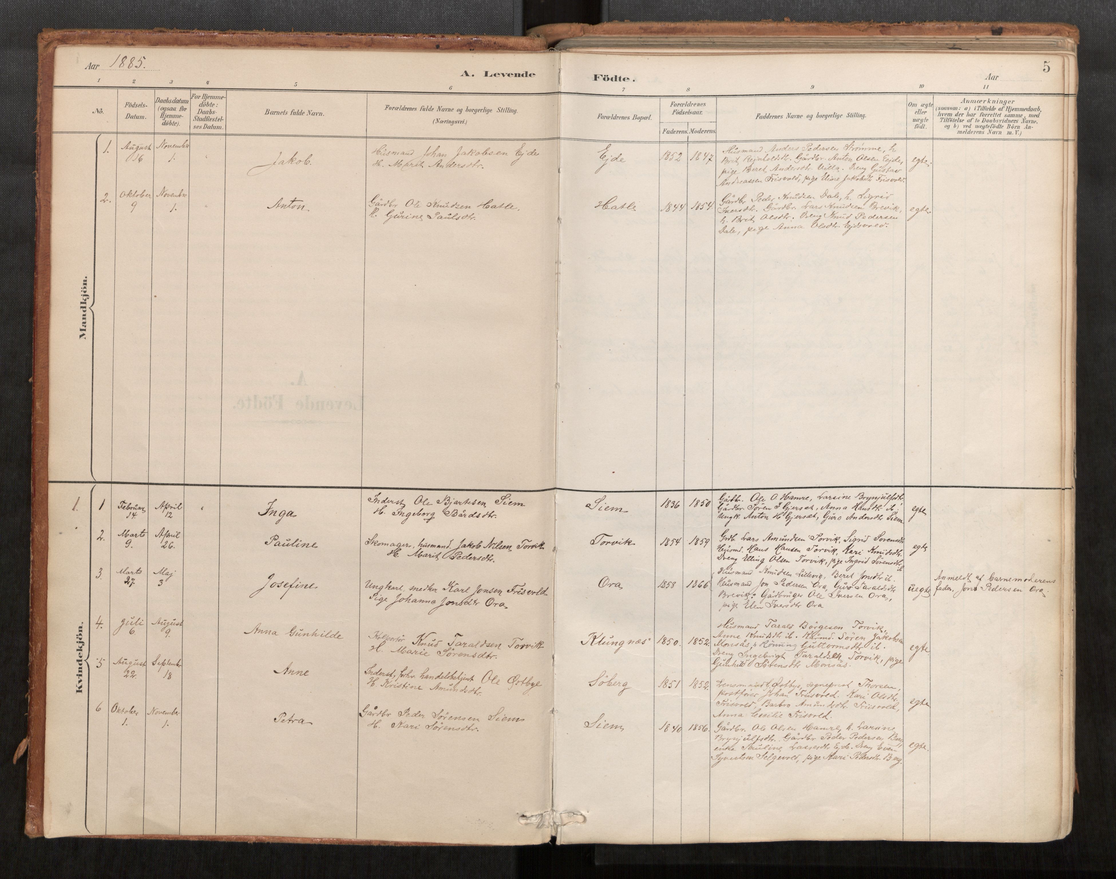 Ministerialprotokoller, klokkerbøker og fødselsregistre - Møre og Romsdal, AV/SAT-A-1454/542/L0553: Parish register (official) no. 542A03, 1885-1925, p. 5