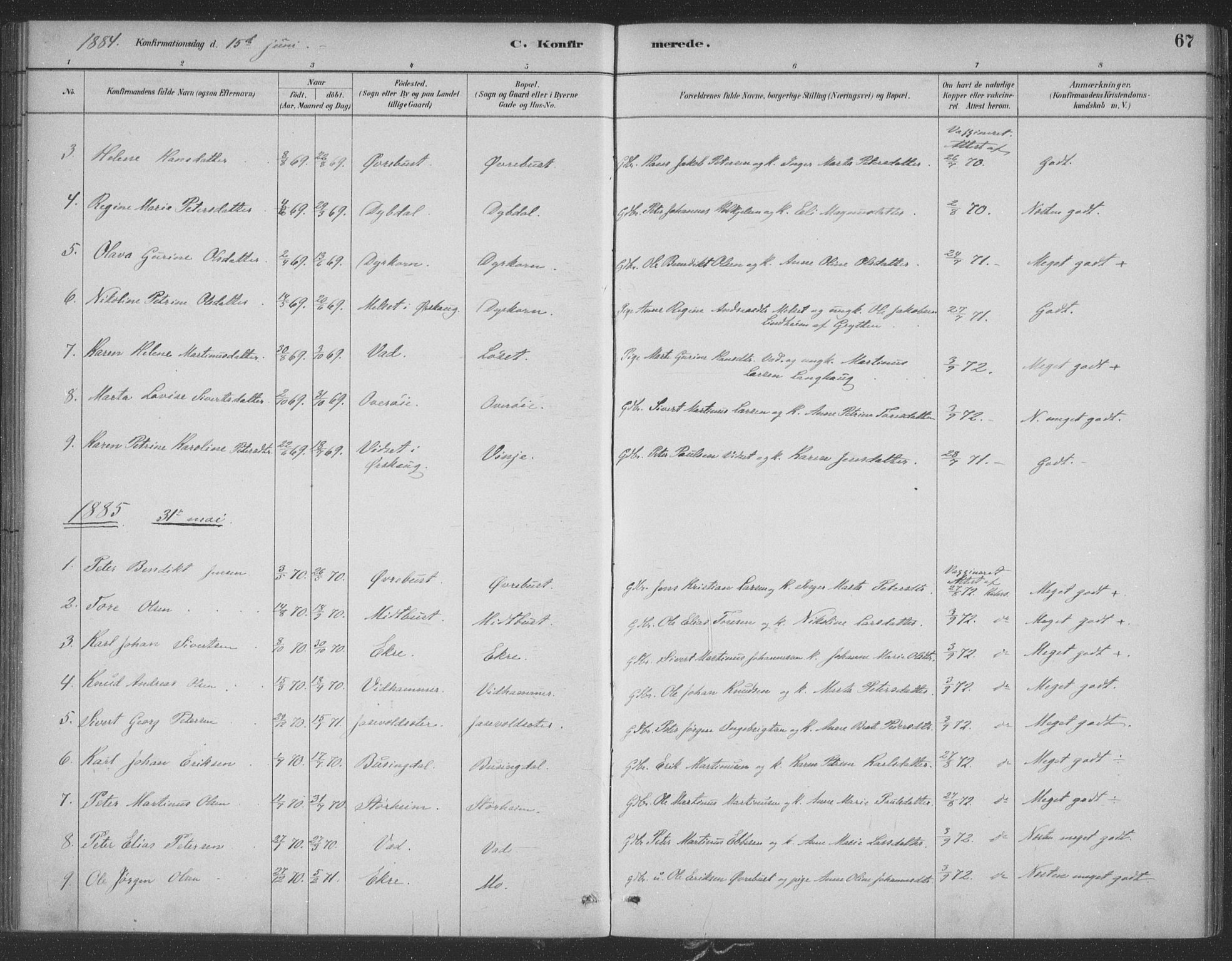 Ministerialprotokoller, klokkerbøker og fødselsregistre - Møre og Romsdal, SAT/A-1454/521/L0299: Parish register (official) no. 521A01, 1882-1907, p. 67