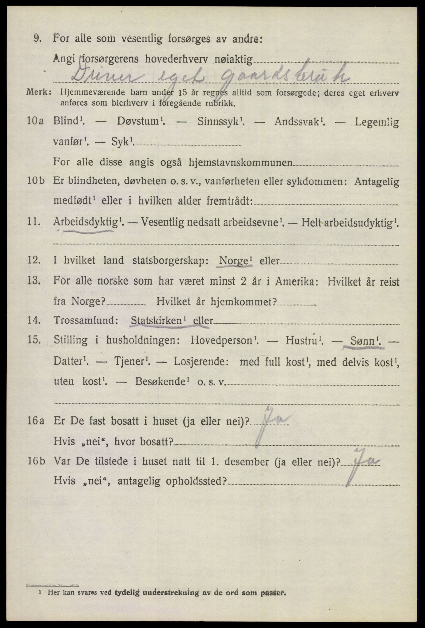 SAKO, 1920 census for Hol (Buskerud), 1920, p. 1190