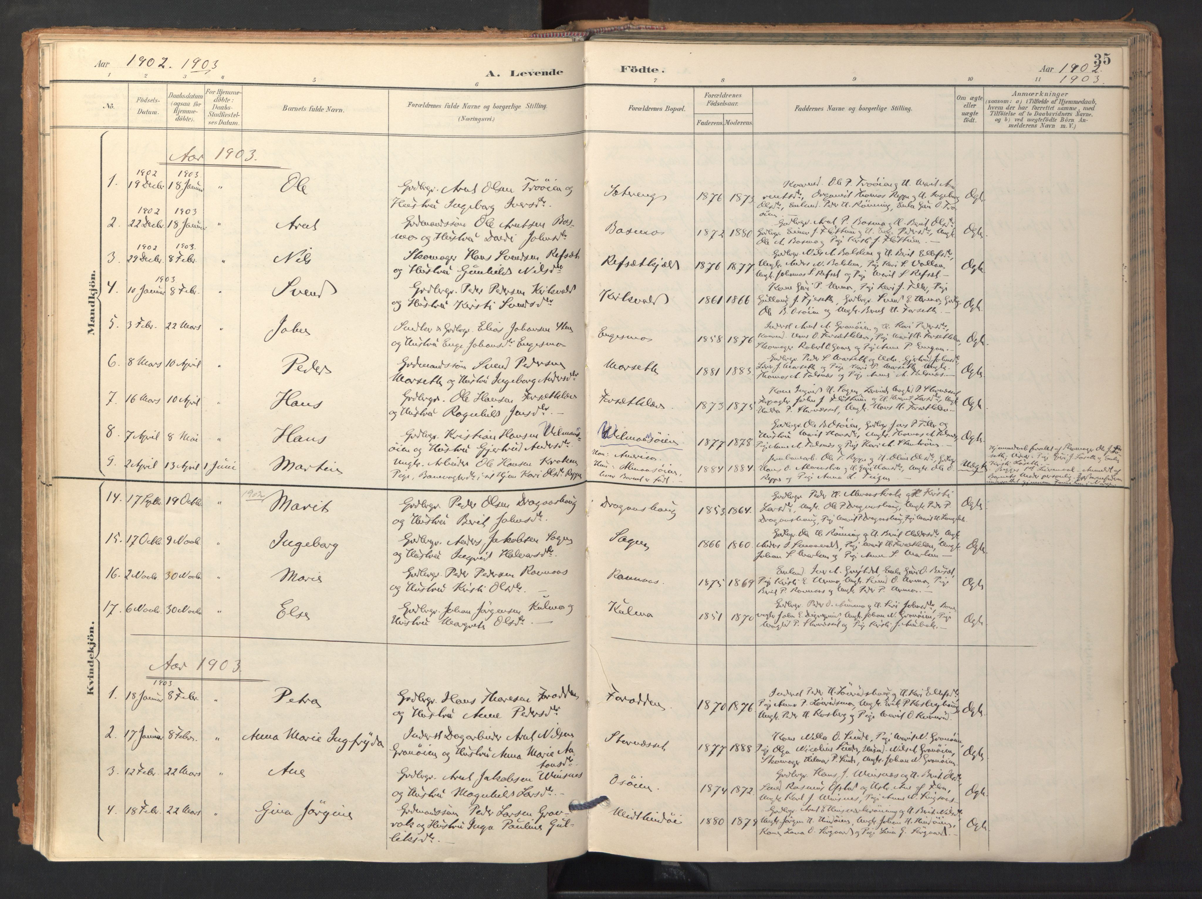 Ministerialprotokoller, klokkerbøker og fødselsregistre - Sør-Trøndelag, SAT/A-1456/688/L1025: Parish register (official) no. 688A02, 1891-1909, p. 35