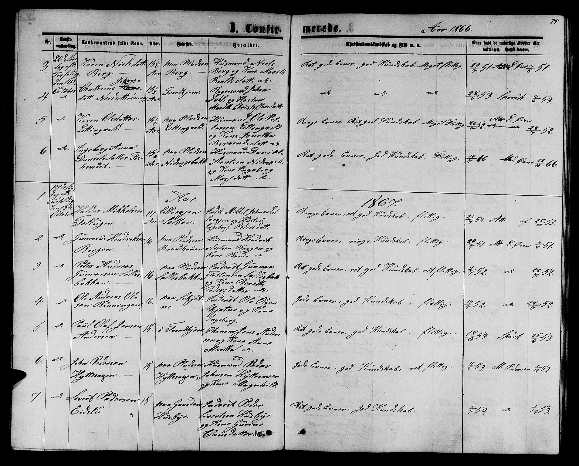 Ministerialprotokoller, klokkerbøker og fødselsregistre - Sør-Trøndelag, SAT/A-1456/618/L0451: Parish register (copy) no. 618C02, 1865-1883, p. 75