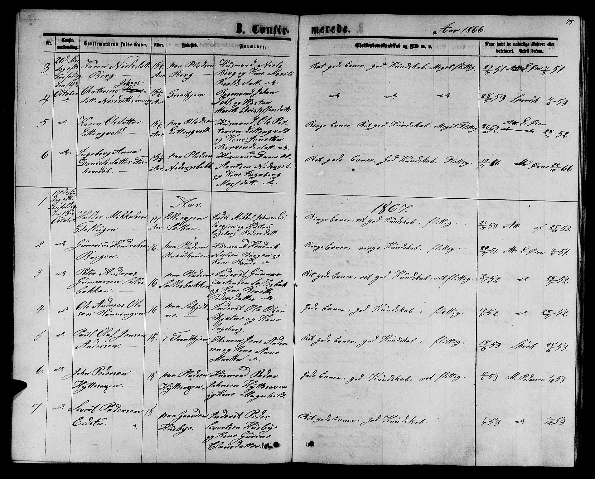 Ministerialprotokoller, klokkerbøker og fødselsregistre - Sør-Trøndelag, AV/SAT-A-1456/618/L0451: Parish register (copy) no. 618C02, 1865-1883, p. 75