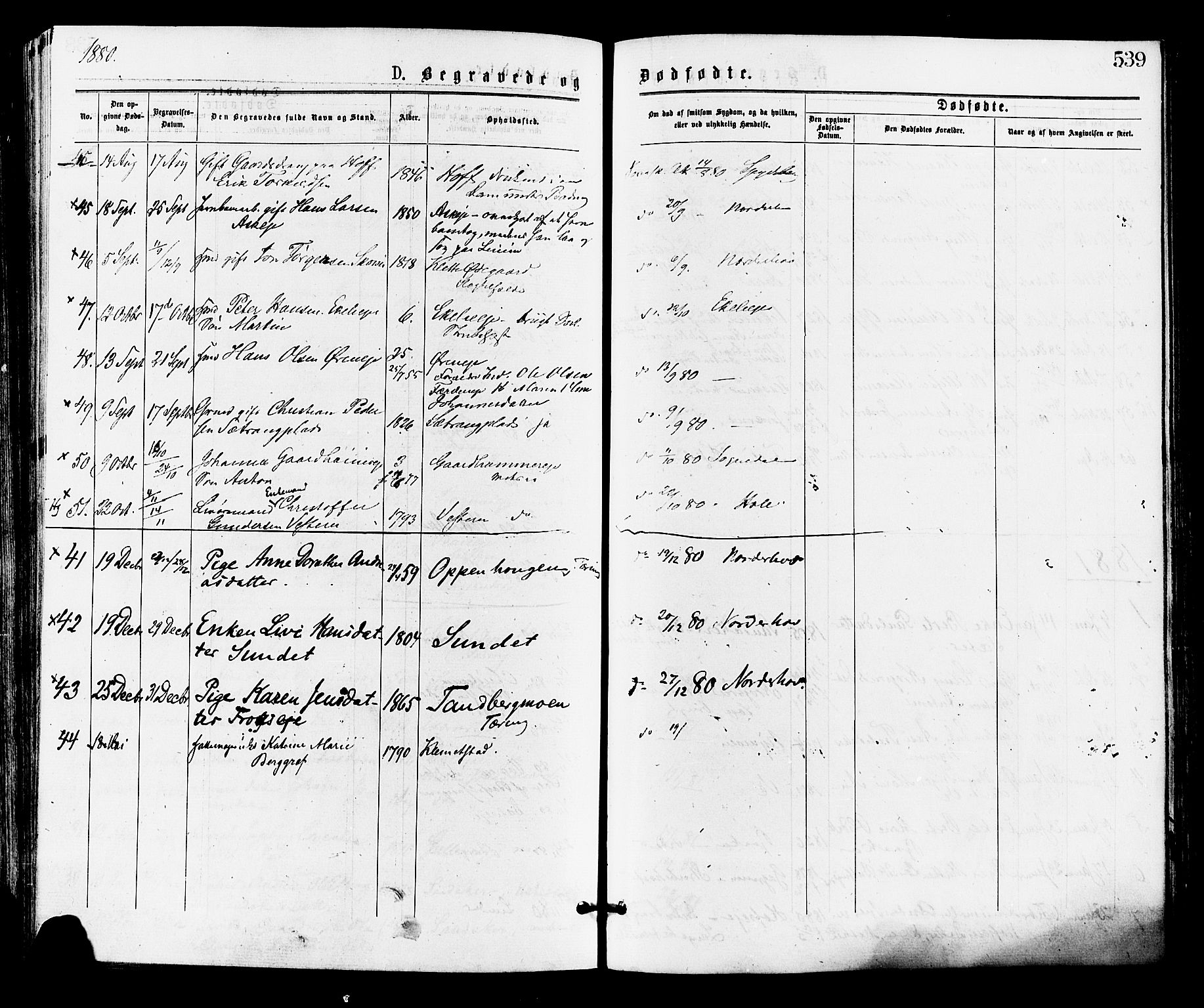 Norderhov kirkebøker, AV/SAKO-A-237/F/Fa/L0015: Parish register (official) no. 15, 1875-1884, p. 539