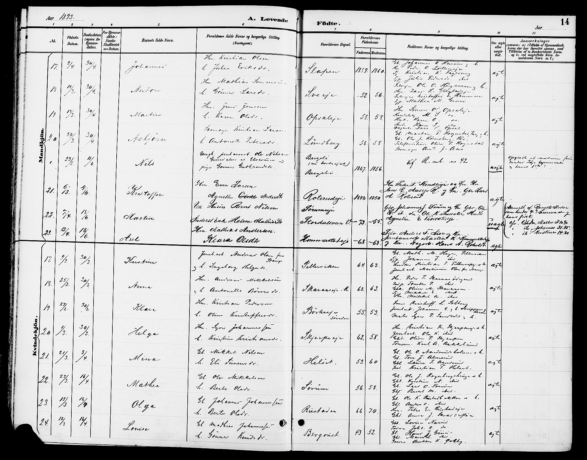 Ringsaker prestekontor, AV/SAH-PREST-014/L/La/L0014: Parish register (copy) no. 14, 1891-1904, p. 14