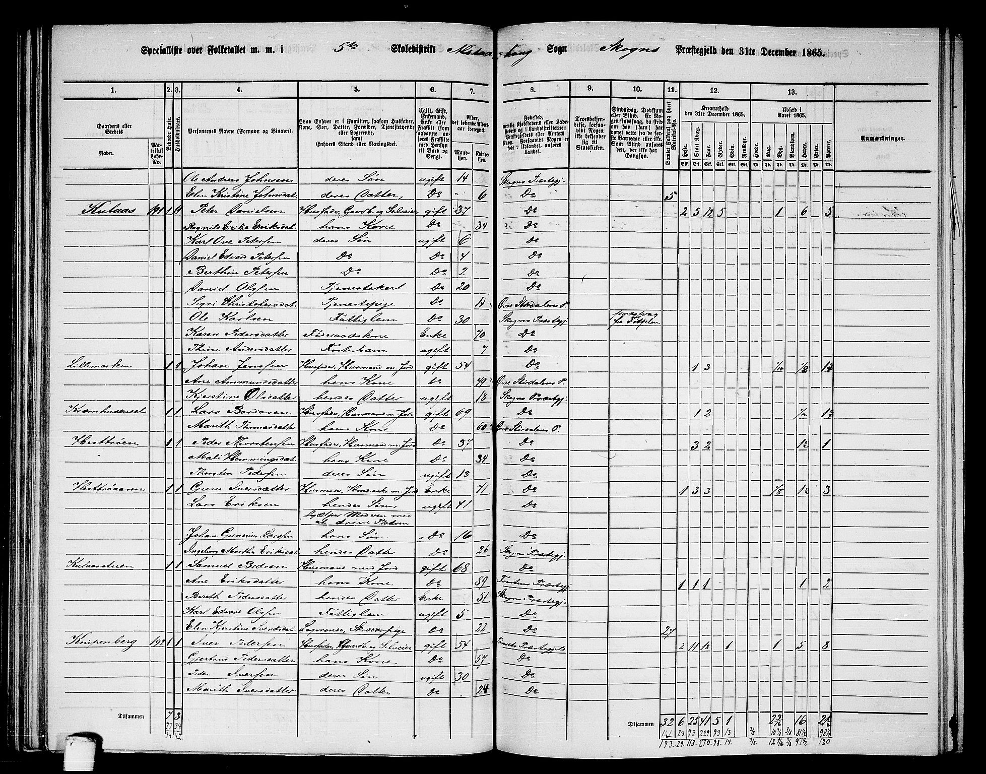 RA, 1865 census for Skogn, 1865, p. 122