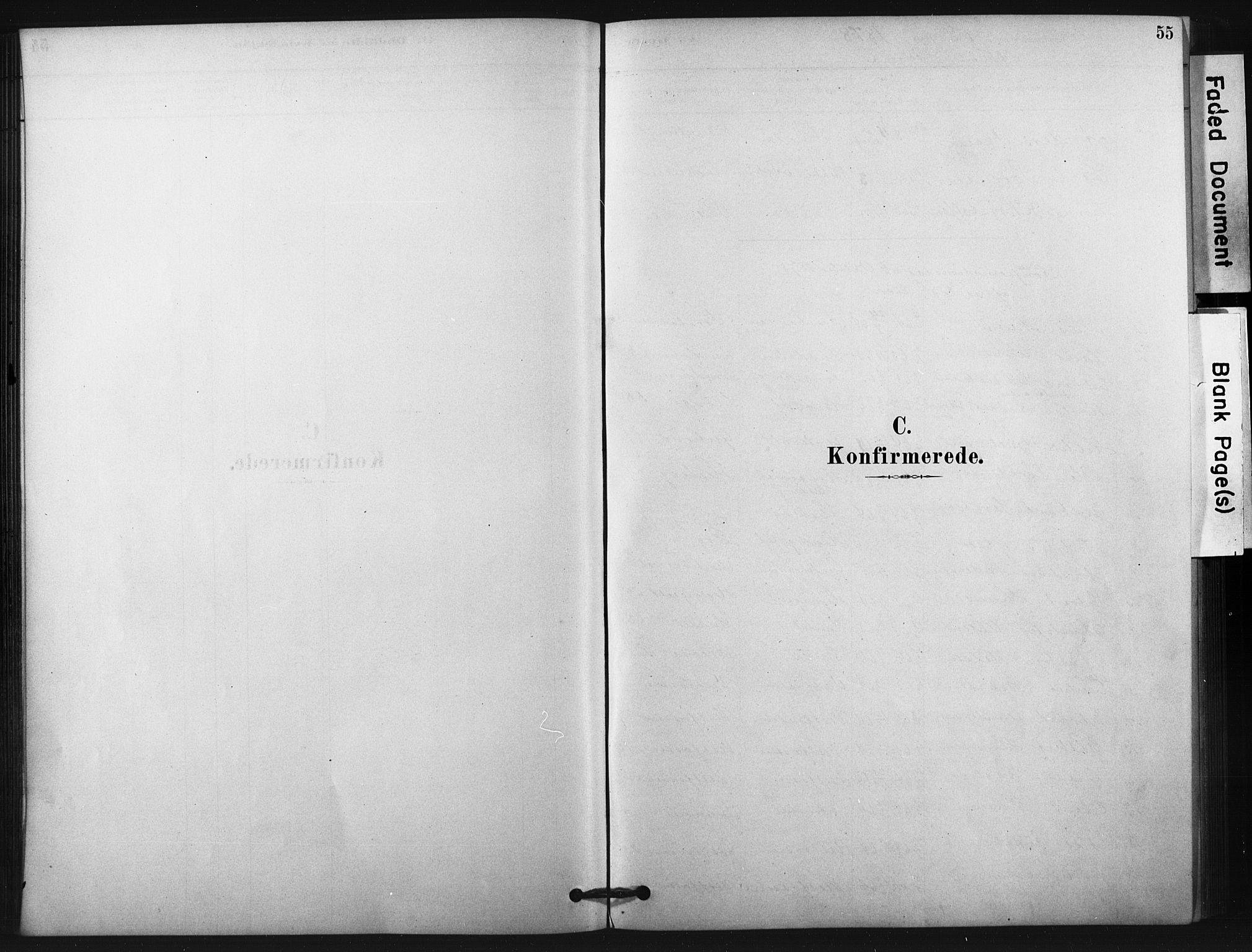 Fiskum kirkebøker, SAKO/A-15/F/Fa/L0002: Parish register (official) no. 2, 1878-1890, p. 55