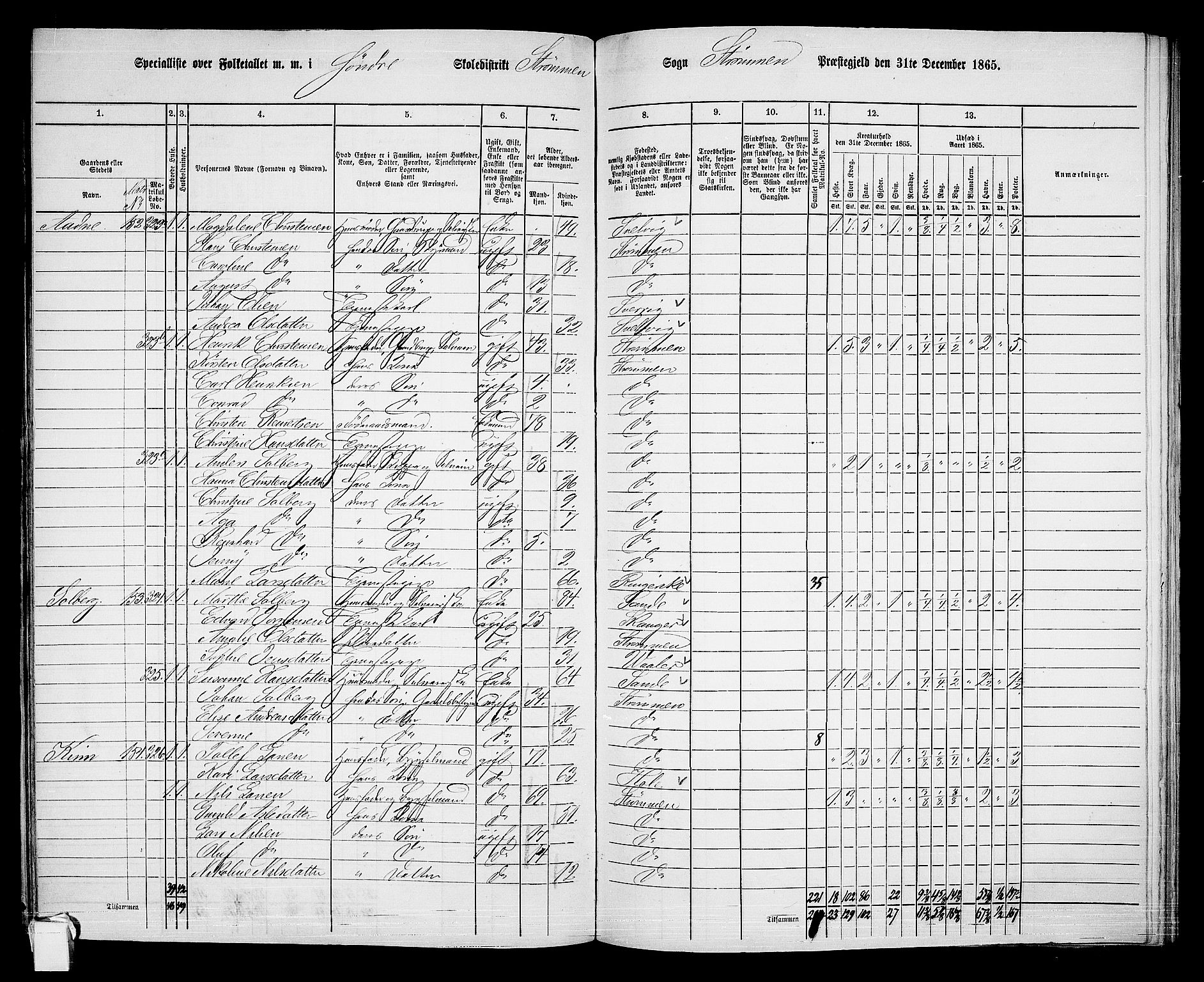 RA, 1865 census for Strømm, 1865, p. 12