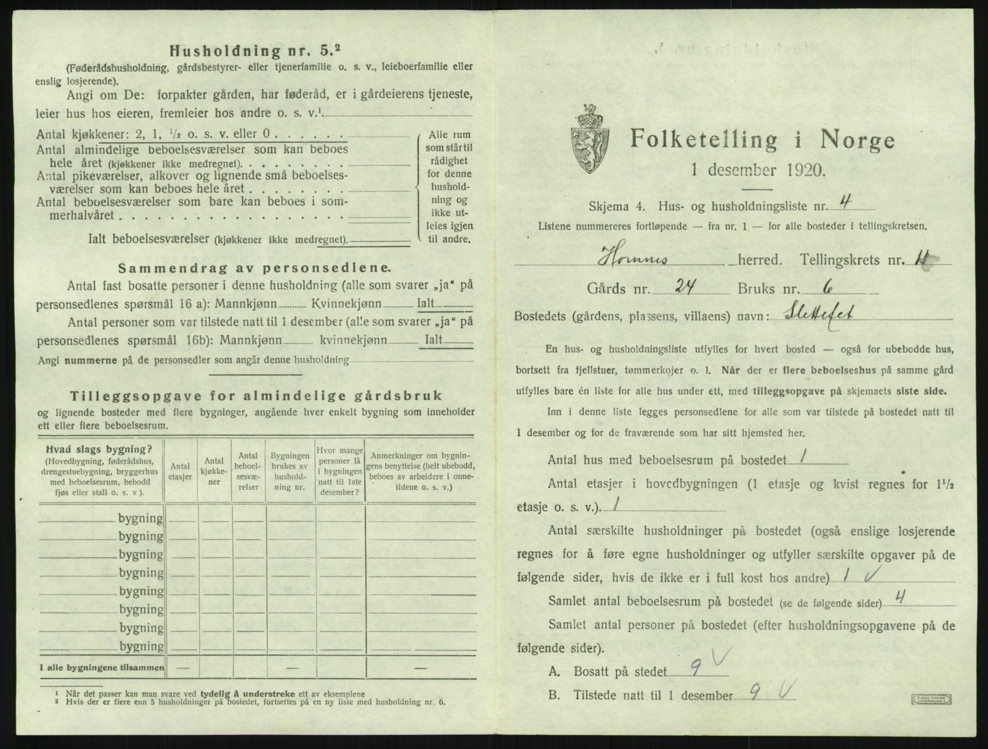 SAK, 1920 census for Hornnes, 1920, p. 437