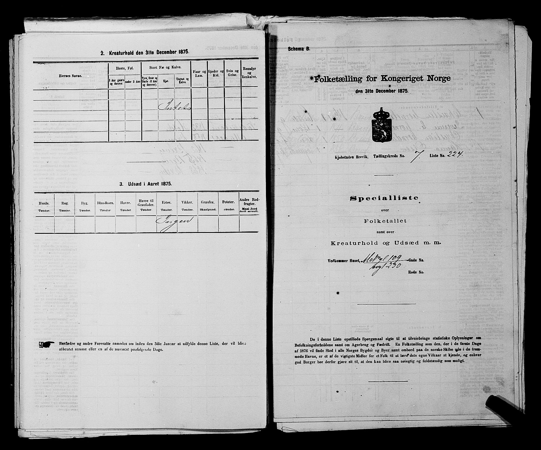 SAKO, 1875 census for 0804P Brevik, 1875, p. 482