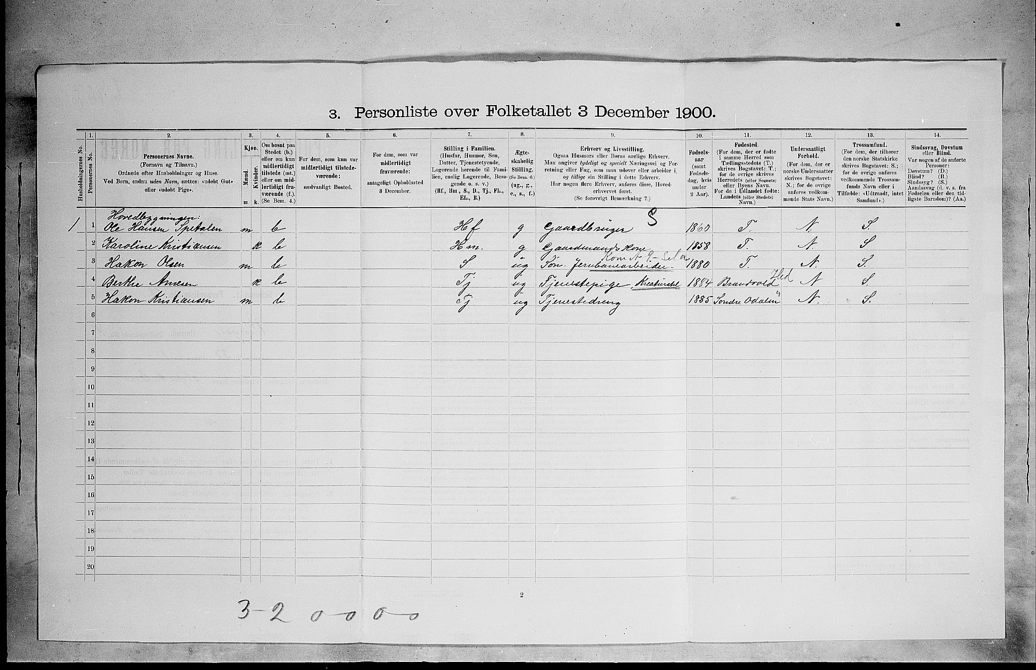 SAH, 1900 census for Vinger, 1900, p. 197