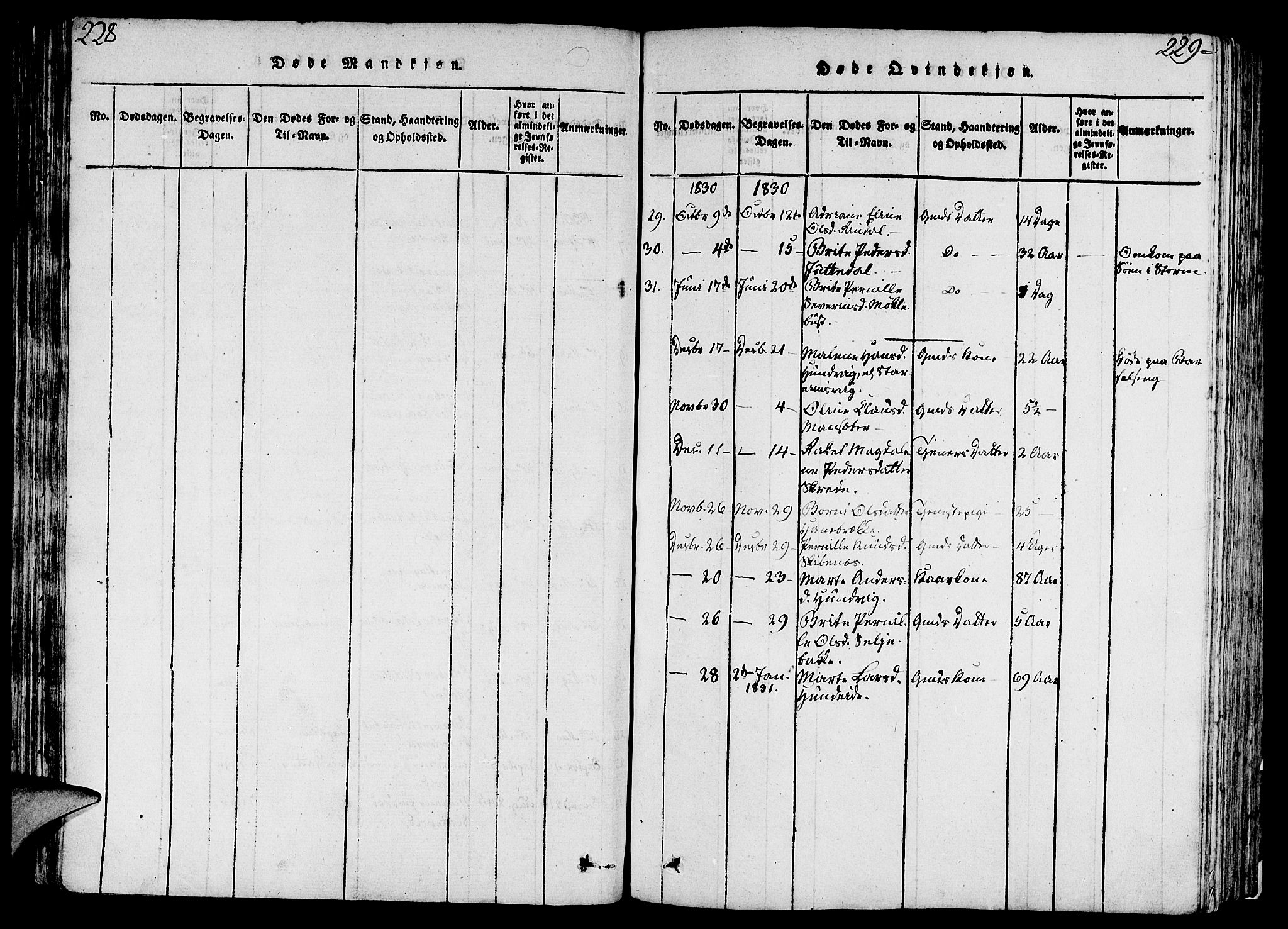 Eid sokneprestembete, AV/SAB-A-82301/H/Haa/Haaa/L0005: Parish register (official) no. A 5, 1816-1830, p. 228-229