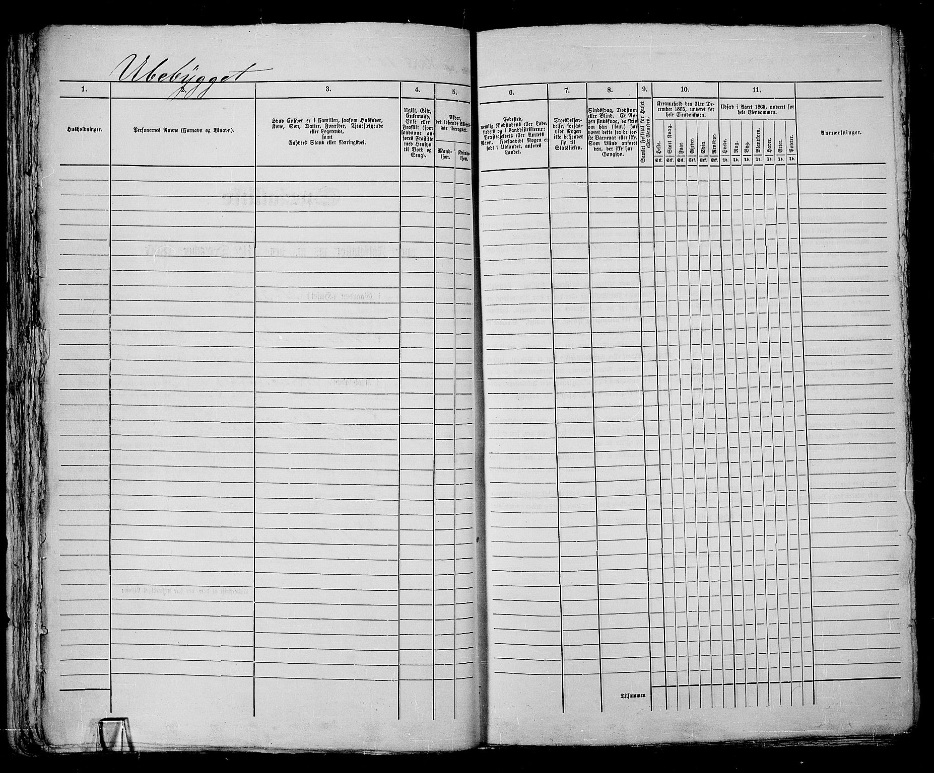 RA, 1865 census for Kristiania, 1865, p. 2317