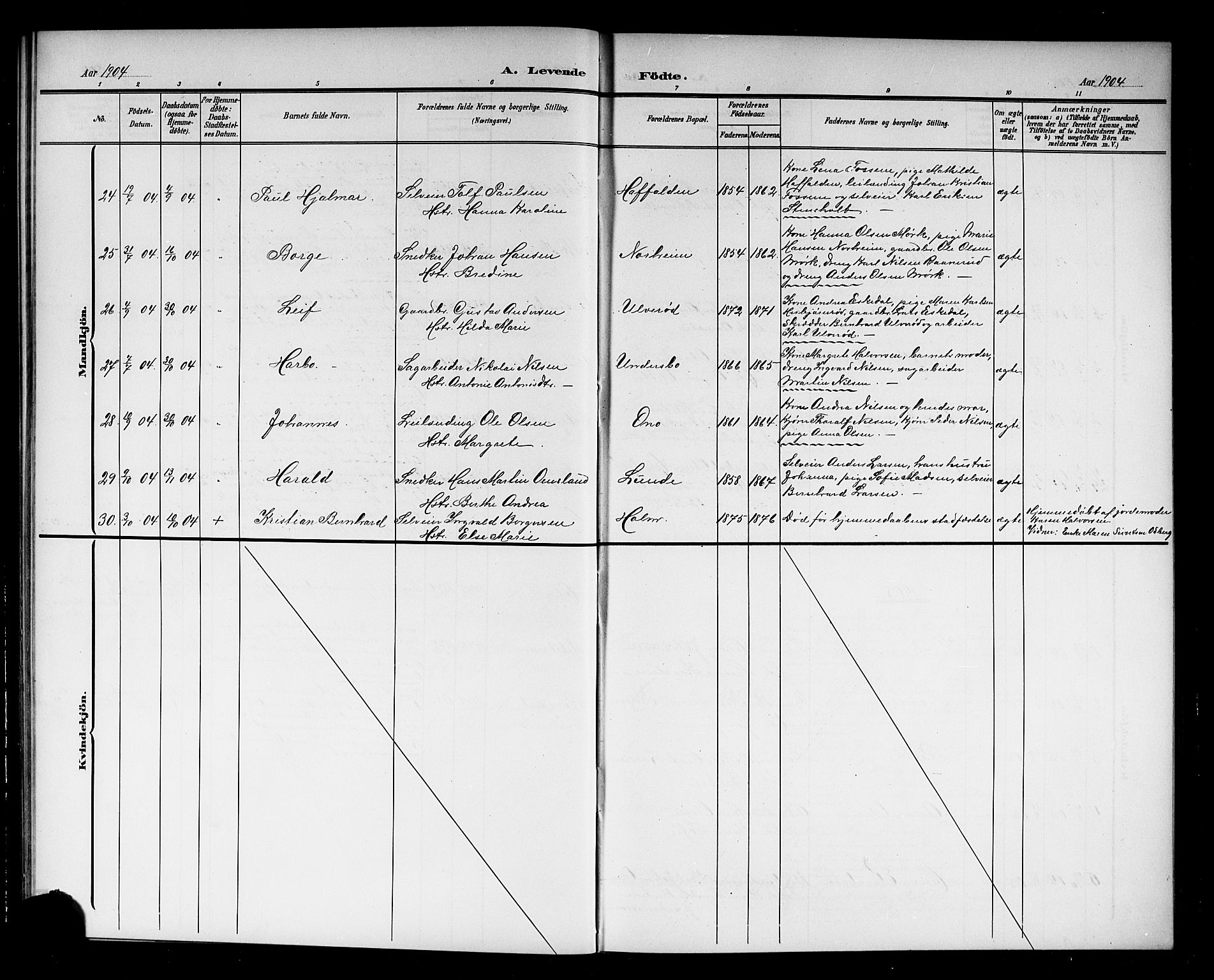 Hedrum kirkebøker, AV/SAKO-A-344/G/Ga/L0004: Parish register (copy) no. I 4, 1902-1915