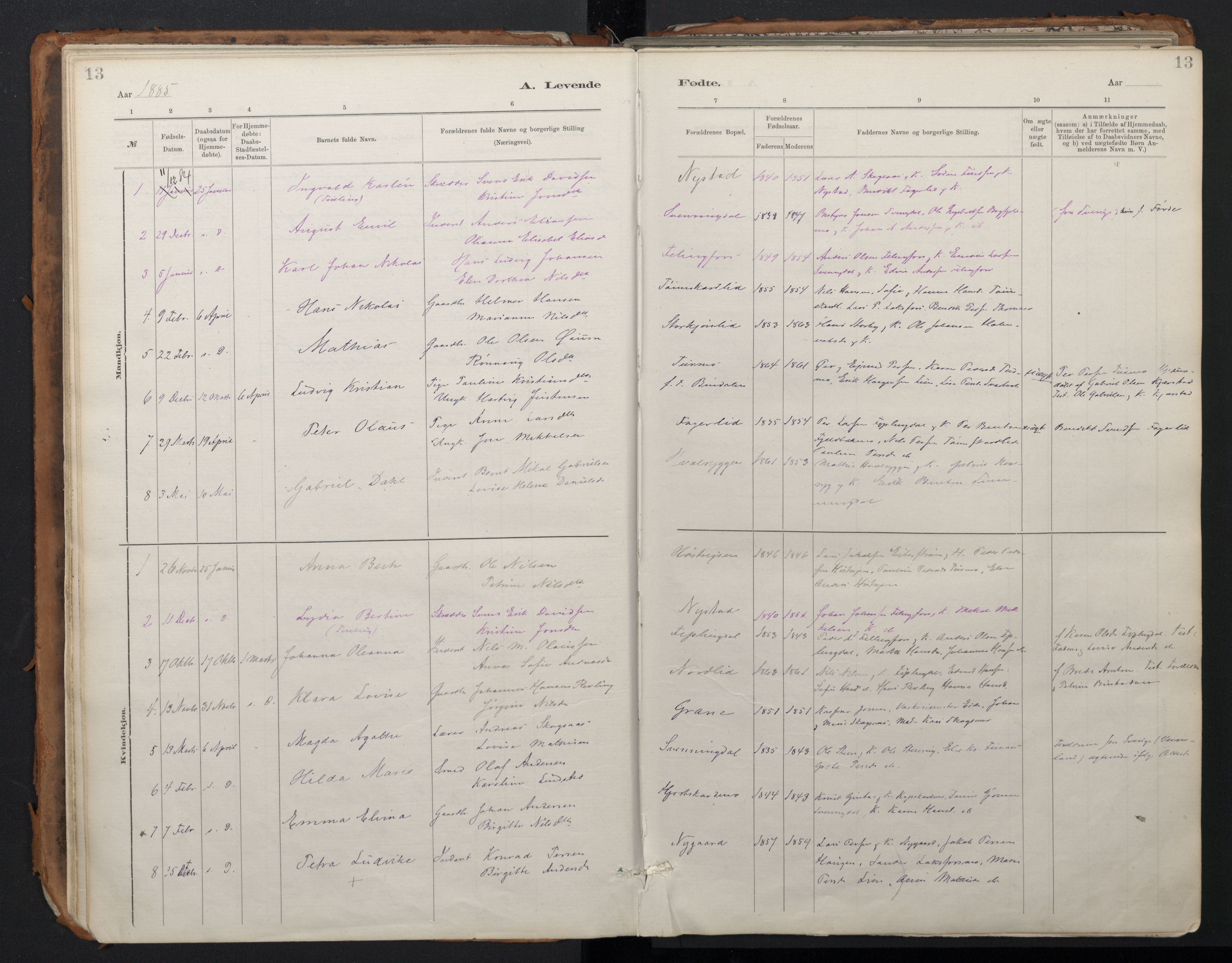 Ministerialprotokoller, klokkerbøker og fødselsregistre - Nordland, SAT/A-1459/824/L0338: Parish register (official) no. 824A01, 1880-1915, p. 13