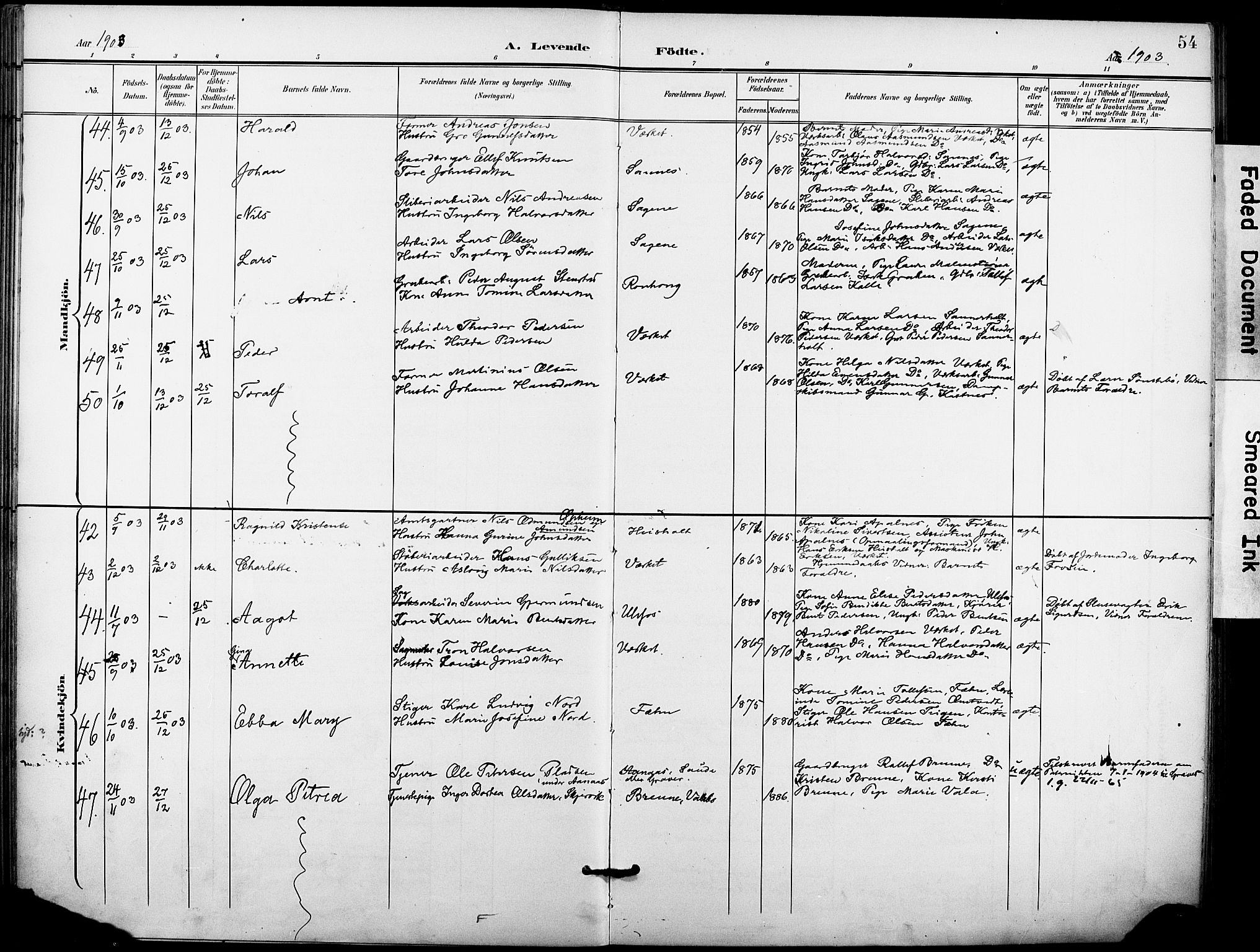 Holla kirkebøker, SAKO/A-272/F/Fa/L0010: Parish register (official) no. 10, 1897-1907, p. 54