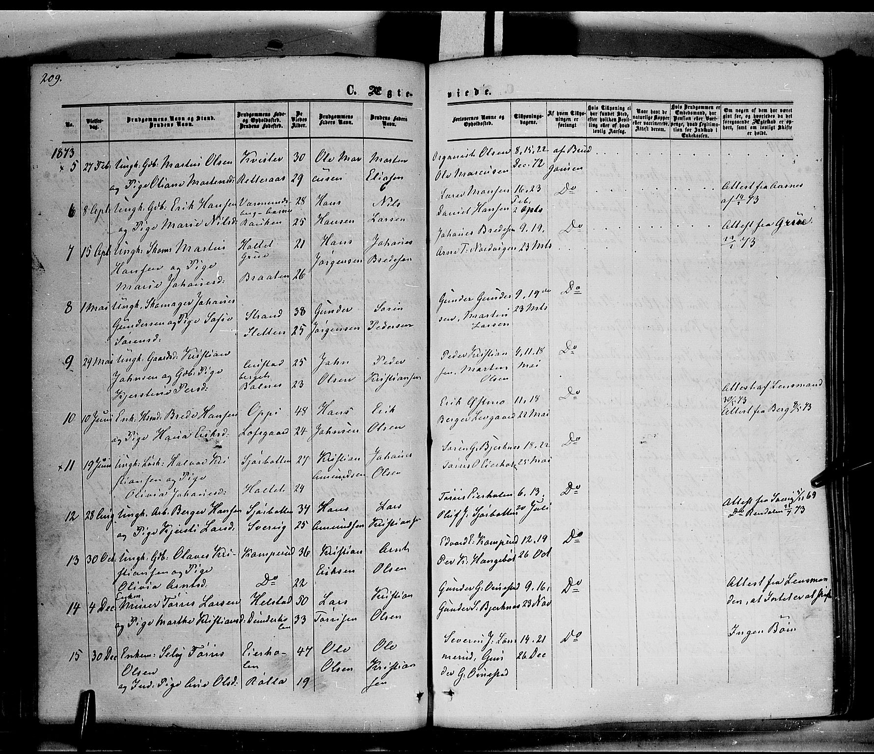 Hof prestekontor, SAH/PREST-038/H/Ha/Haa/L0009: Parish register (official) no. 9, 1862-1877, p. 209