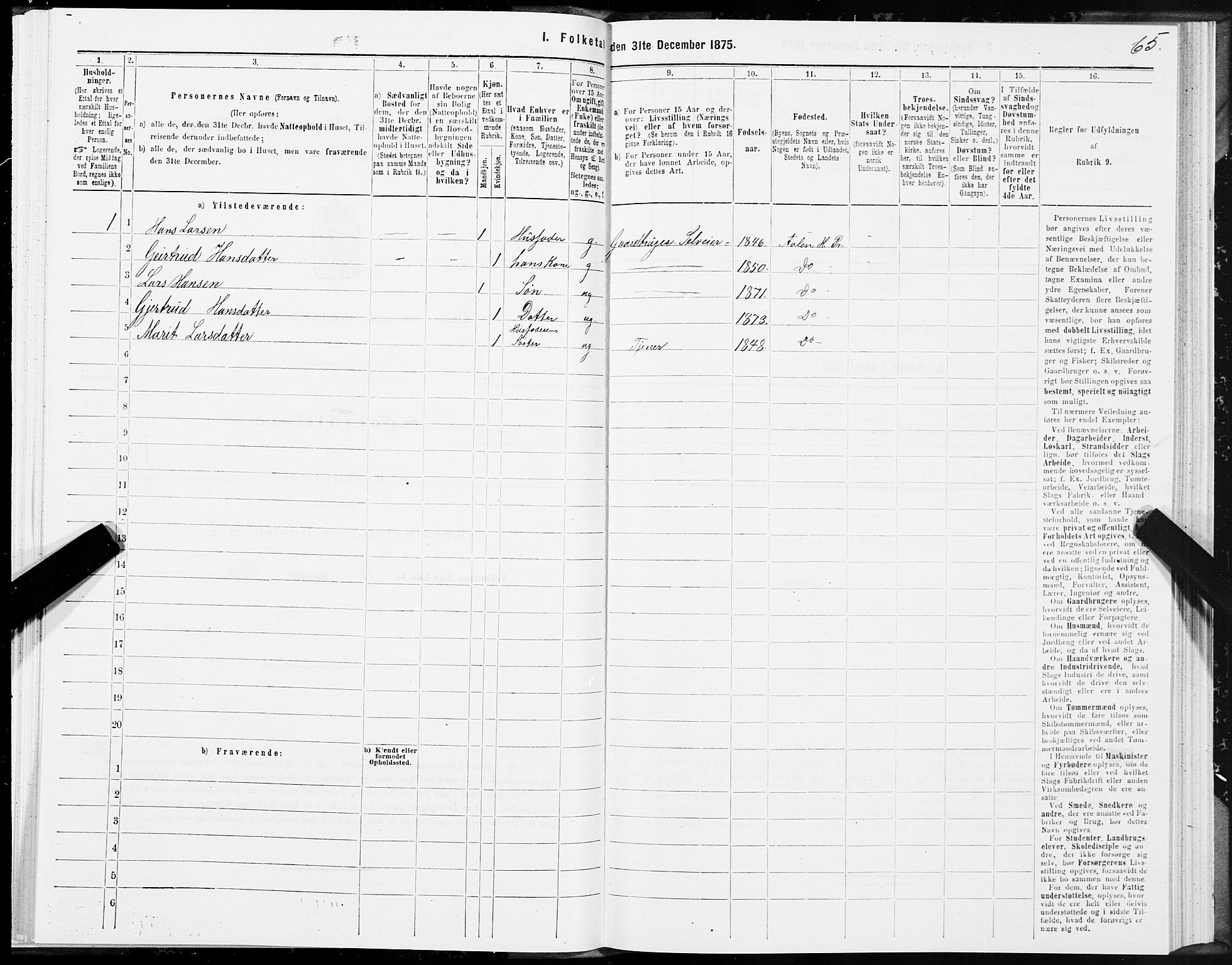 SAT, 1875 census for 1645P Haltdalen, 1875, p. 4065