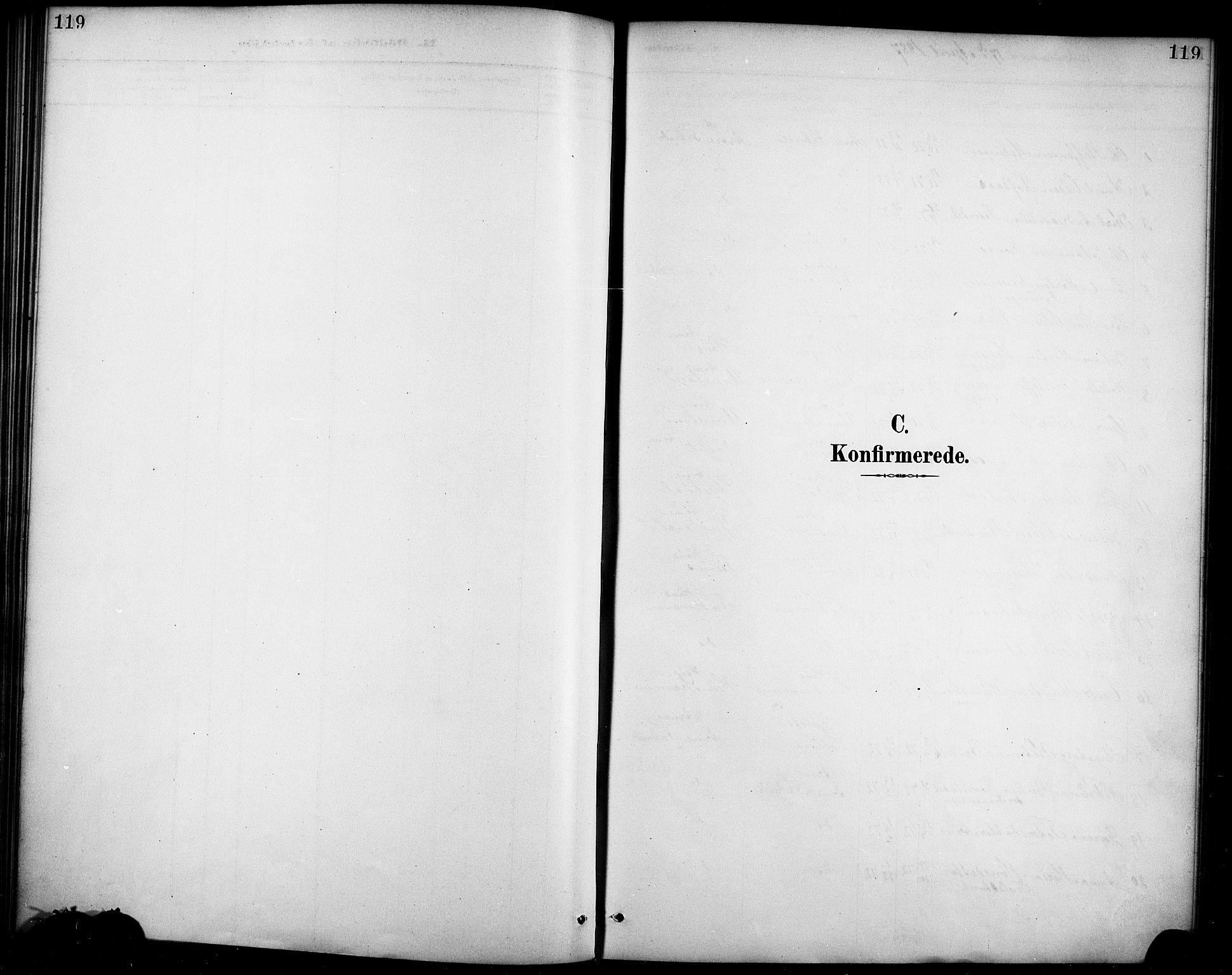 Haus sokneprestembete, SAB/A-75601/H/Haa/Haad/L0001: Parish register (official) no. D 1, 1887-1898, p. 119